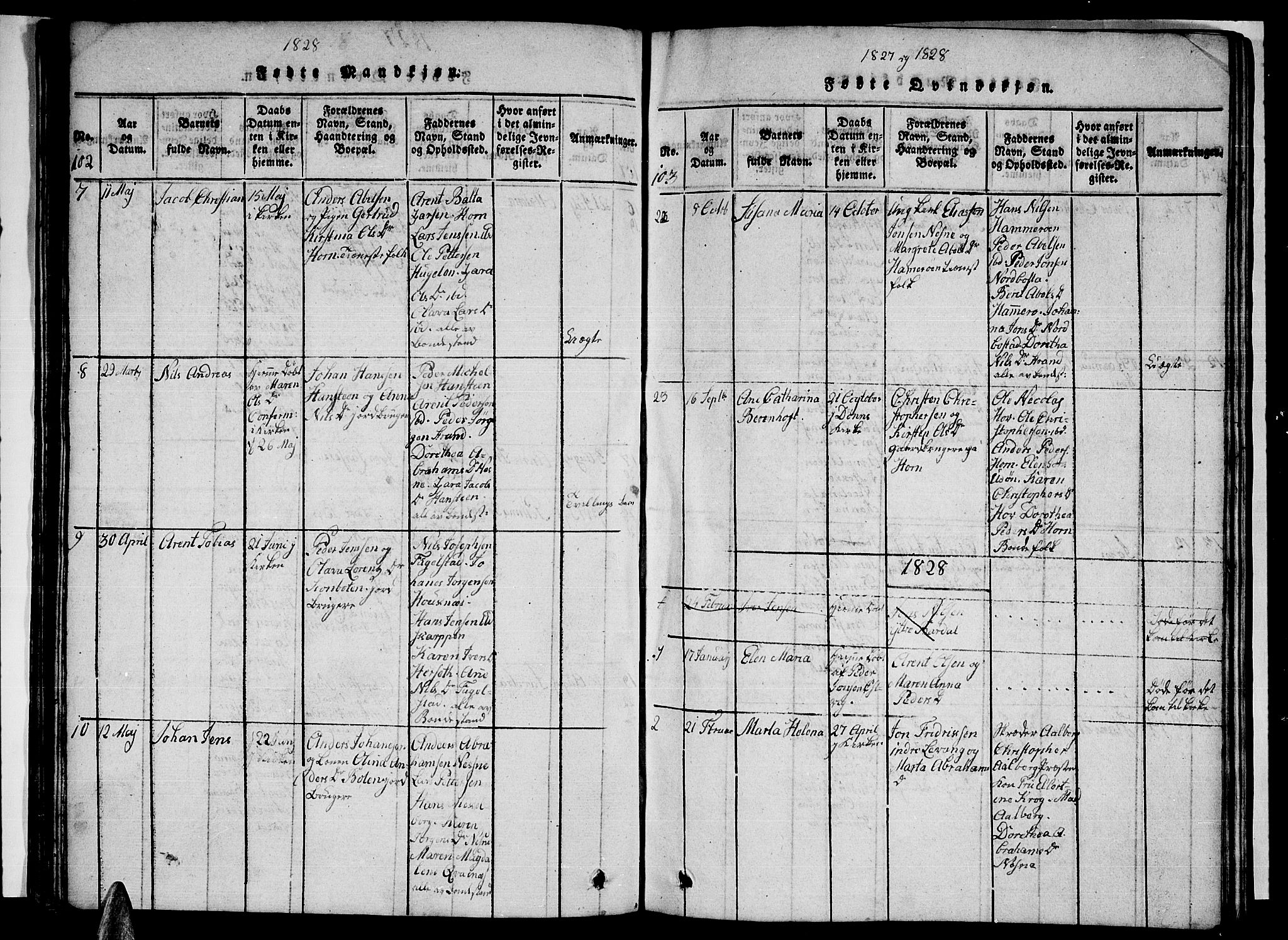 Ministerialprotokoller, klokkerbøker og fødselsregistre - Nordland, AV/SAT-A-1459/838/L0554: Parish register (copy) no. 838C01, 1820-1828, p. 102-103