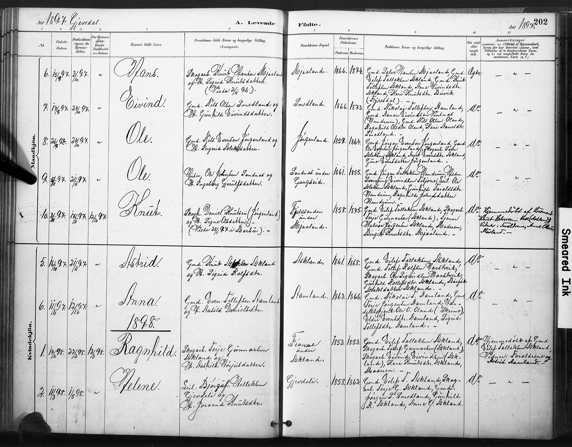 Åmli sokneprestkontor, SAK/1111-0050/F/Fa/Fac/L0010: Parish register (official) no. A 10 /2, 1885-1899, p. 202