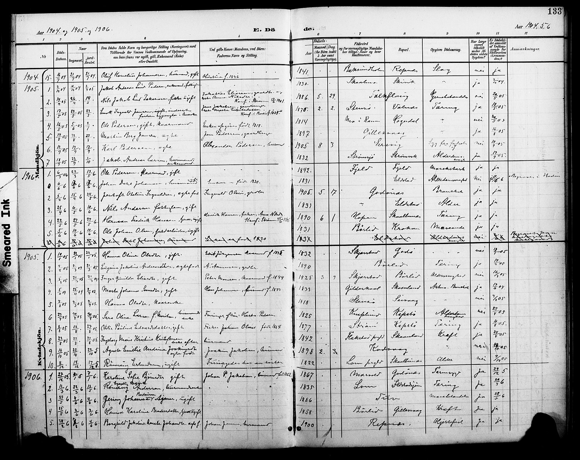 Ministerialprotokoller, klokkerbøker og fødselsregistre - Nordland, SAT/A-1459/804/L0088: Parish register (copy) no. 804C01, 1901-1917, p. 133