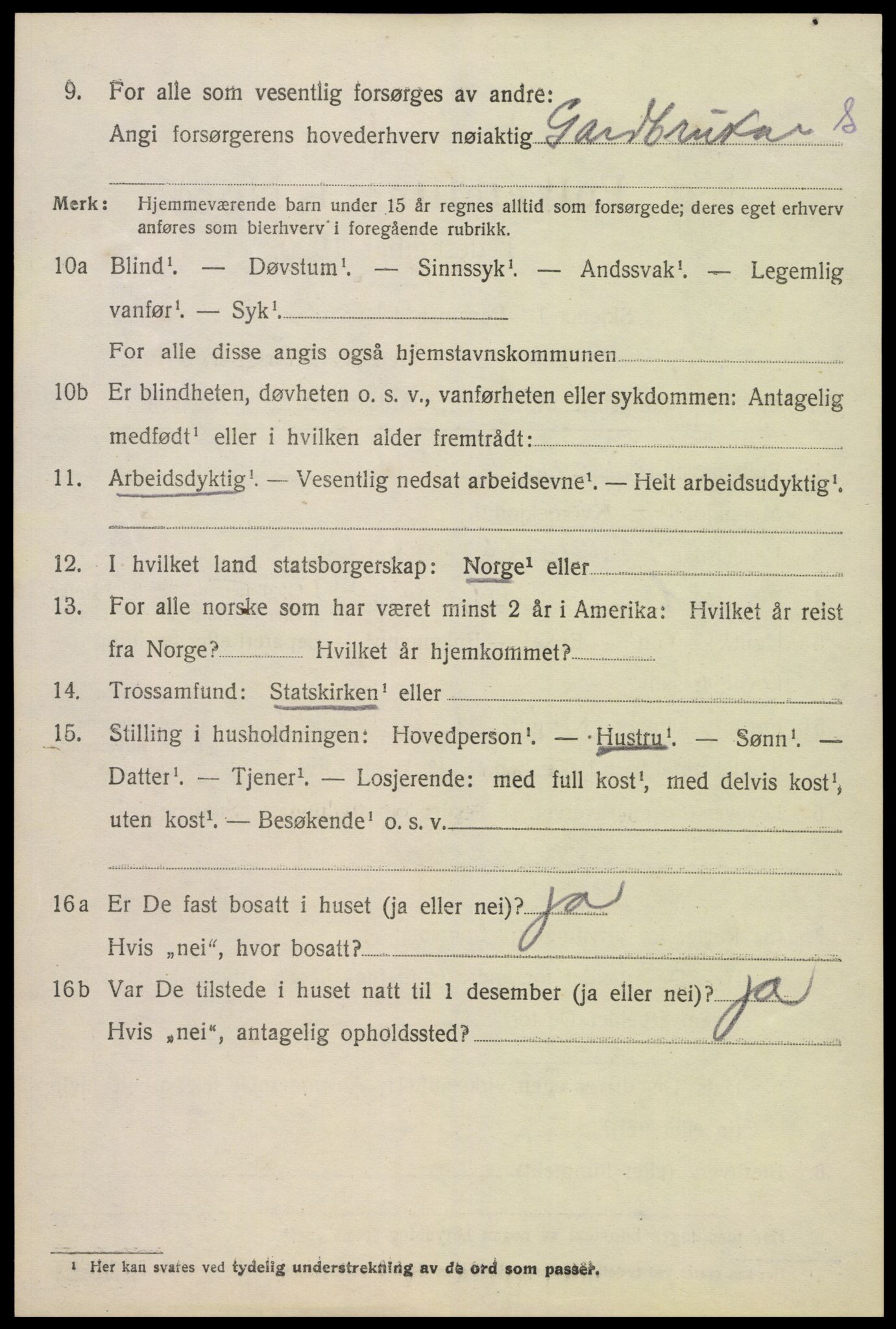 SAK, 1920 census for Hornnes, 1920, p. 3108