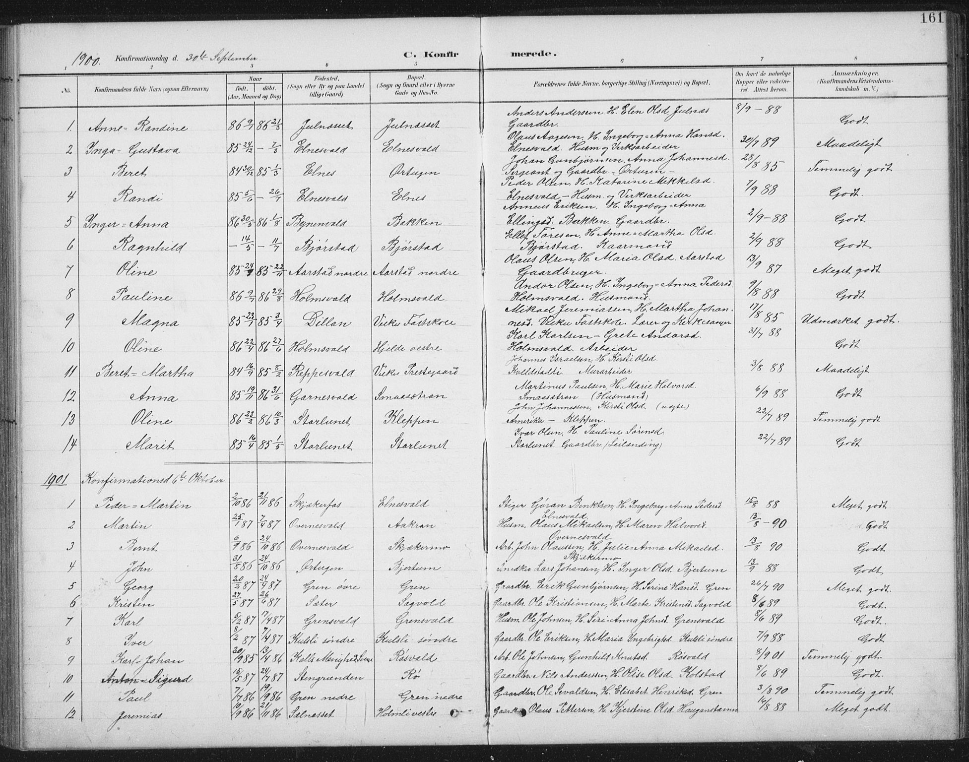 Ministerialprotokoller, klokkerbøker og fødselsregistre - Nord-Trøndelag, SAT/A-1458/724/L0269: Parish register (copy) no. 724C05, 1899-1920, p. 161