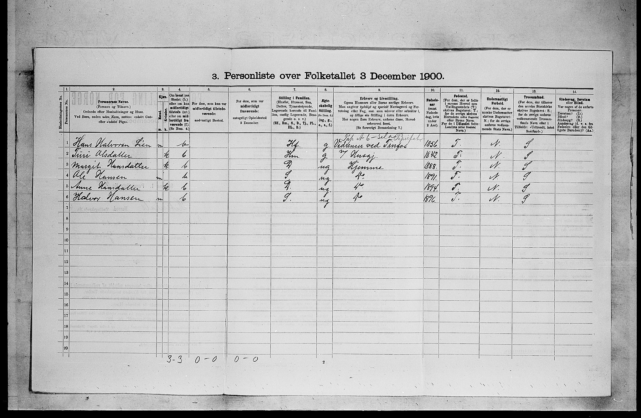 SAKO, 1900 census for Heddal, 1900, p. 595