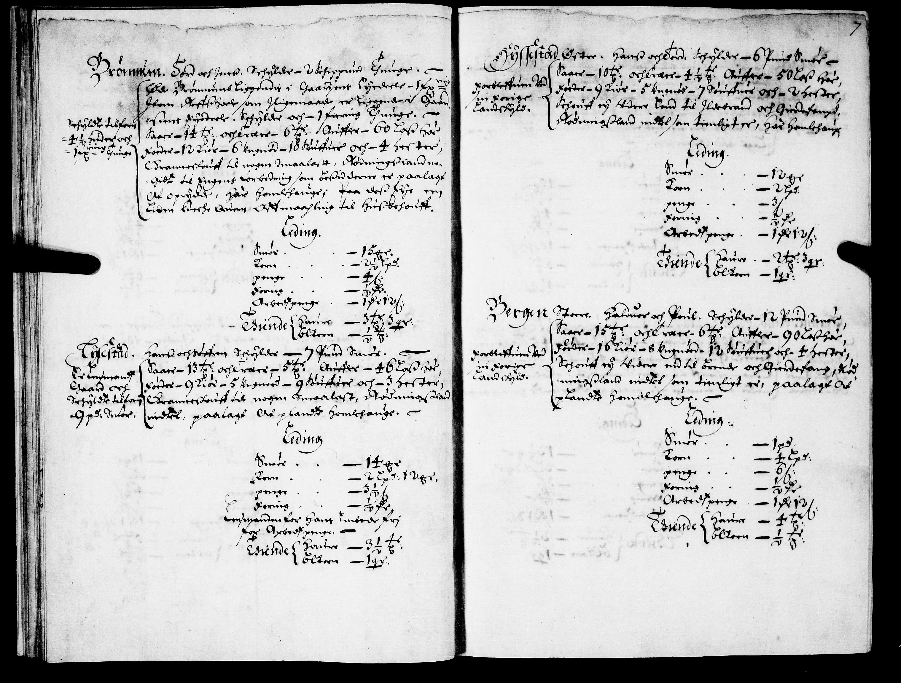 Rentekammeret inntil 1814, Realistisk ordnet avdeling, AV/RA-EA-4070/N/Nb/Nba/L0021: Brunla len, 1667, p. 6b-7a