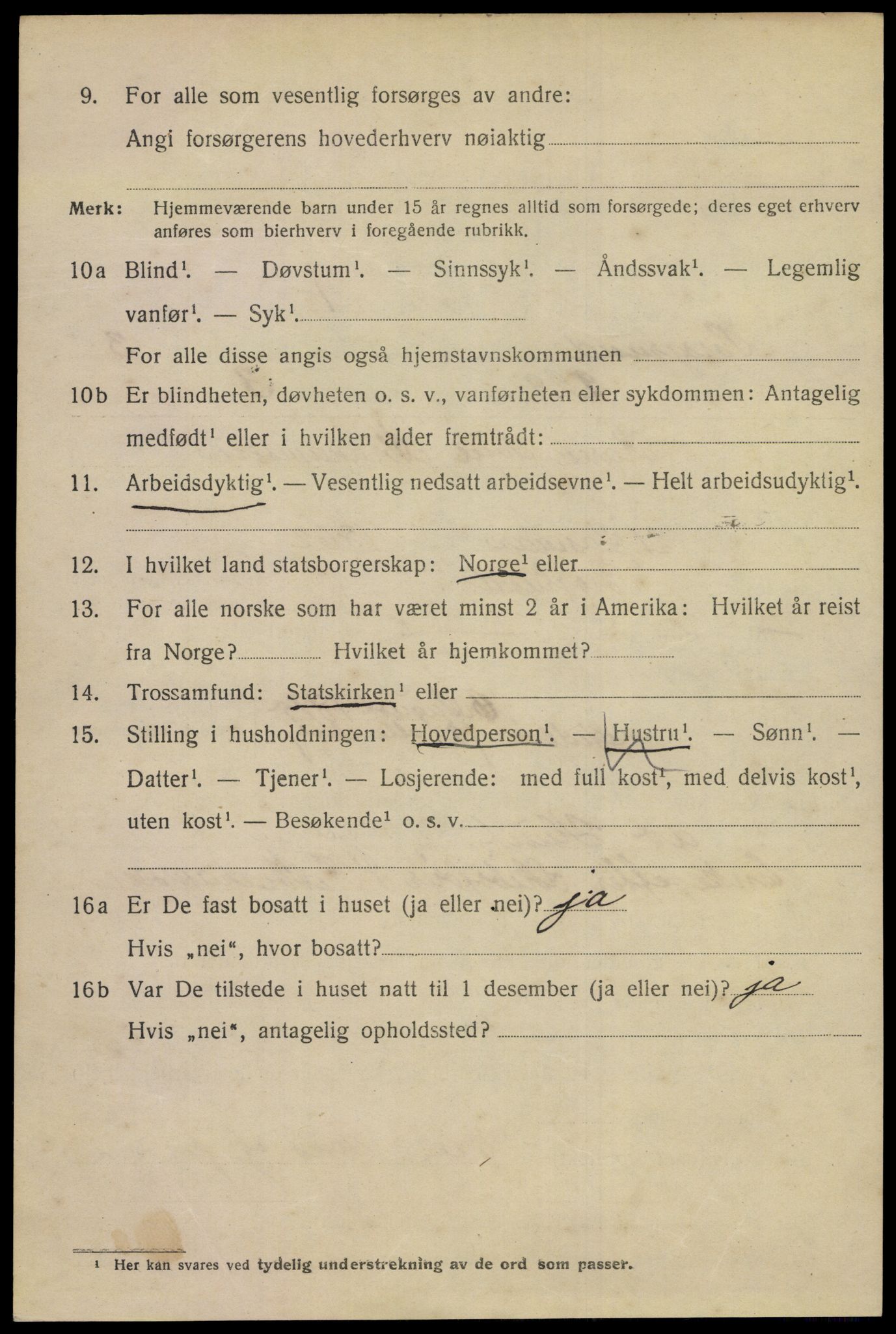 SAKO, 1920 census for Porsgrunn, 1920, p. 17328