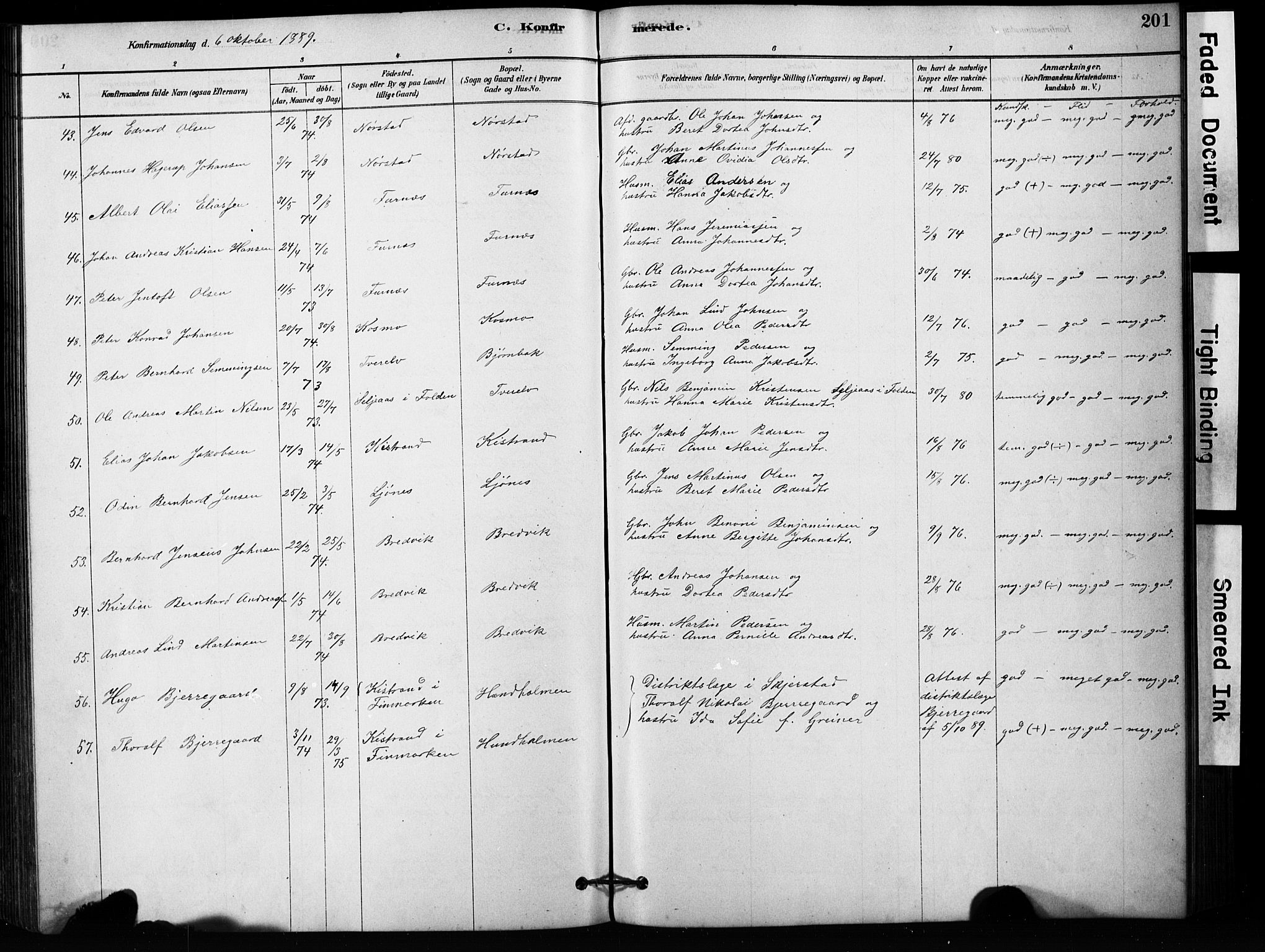 Ministerialprotokoller, klokkerbøker og fødselsregistre - Nordland, AV/SAT-A-1459/852/L0754: Parish register (copy) no. 852C05, 1878-1894, p. 201