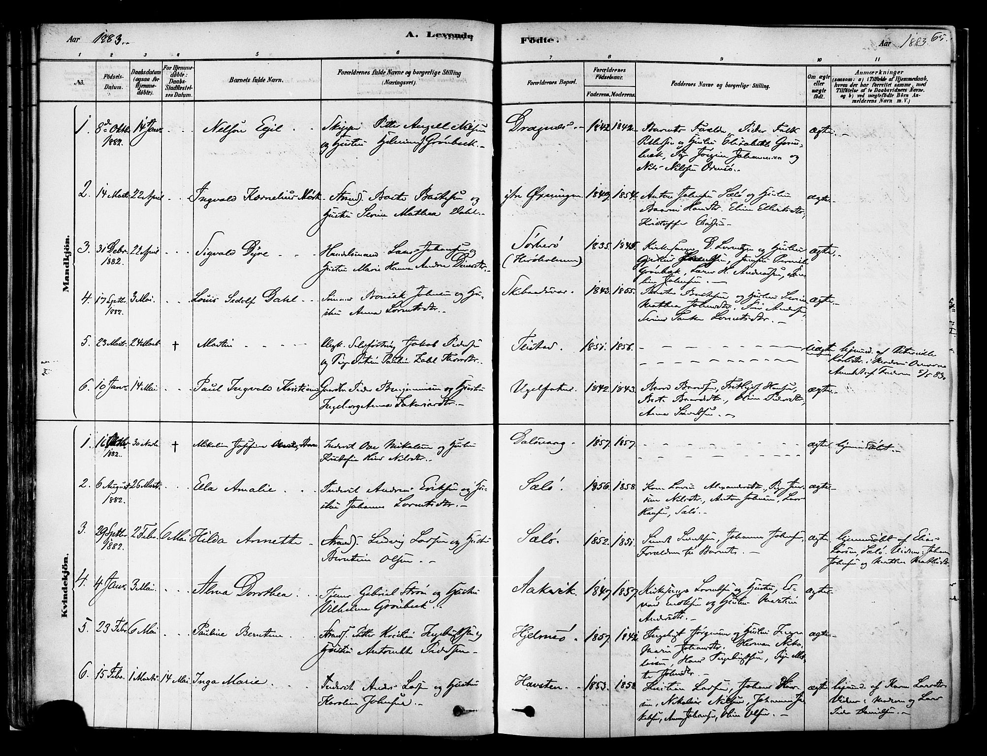 Ministerialprotokoller, klokkerbøker og fødselsregistre - Nordland, AV/SAT-A-1459/834/L0507: Parish register (official) no. 834A05, 1878-1892, p. 65