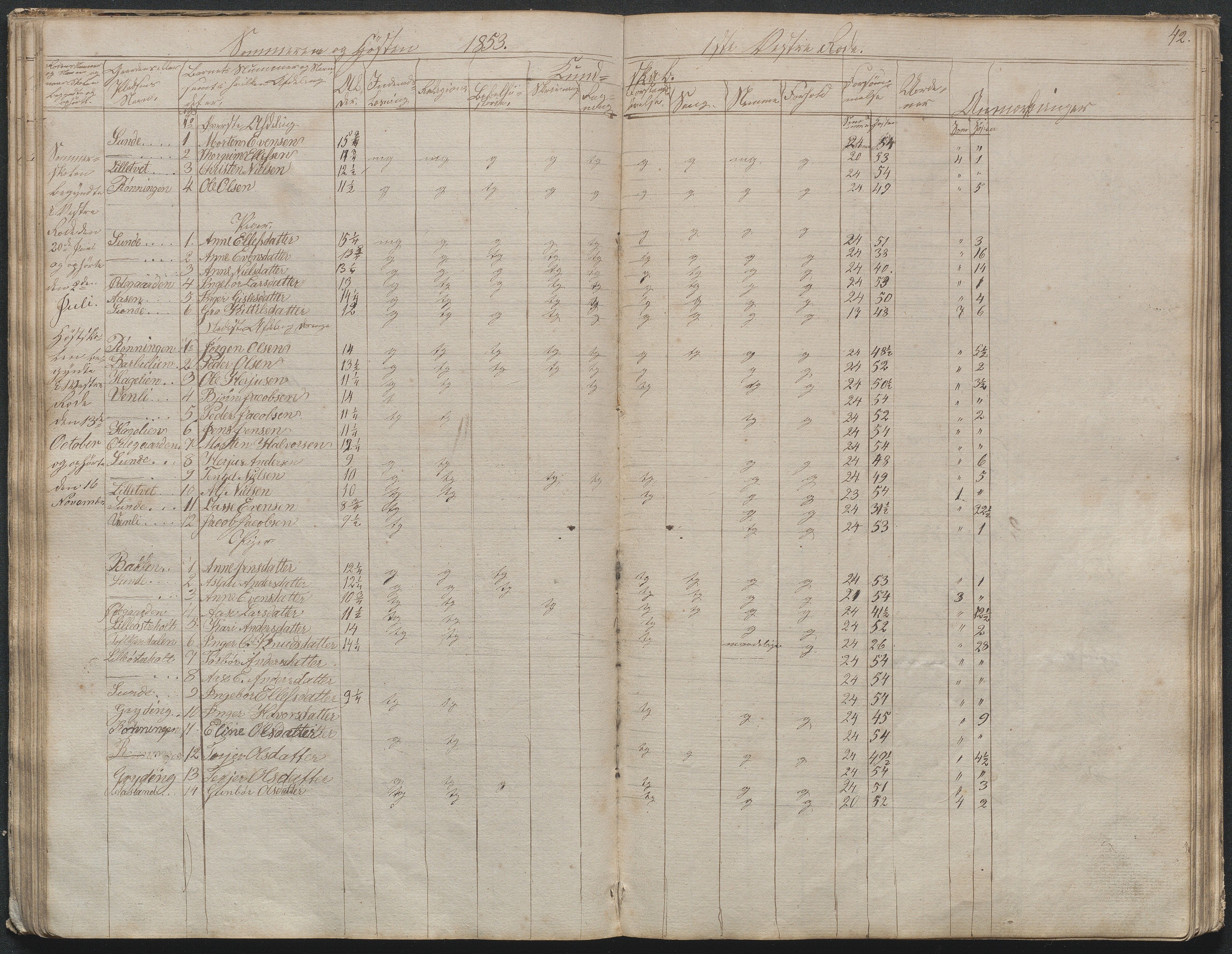 Gjerstad Kommune, Gjerstad Skole, AAKS/KA0911-550a/F02/L0003: Skolejournal/protokoll 4.skoledistrikt, 1844-1862, p. 43