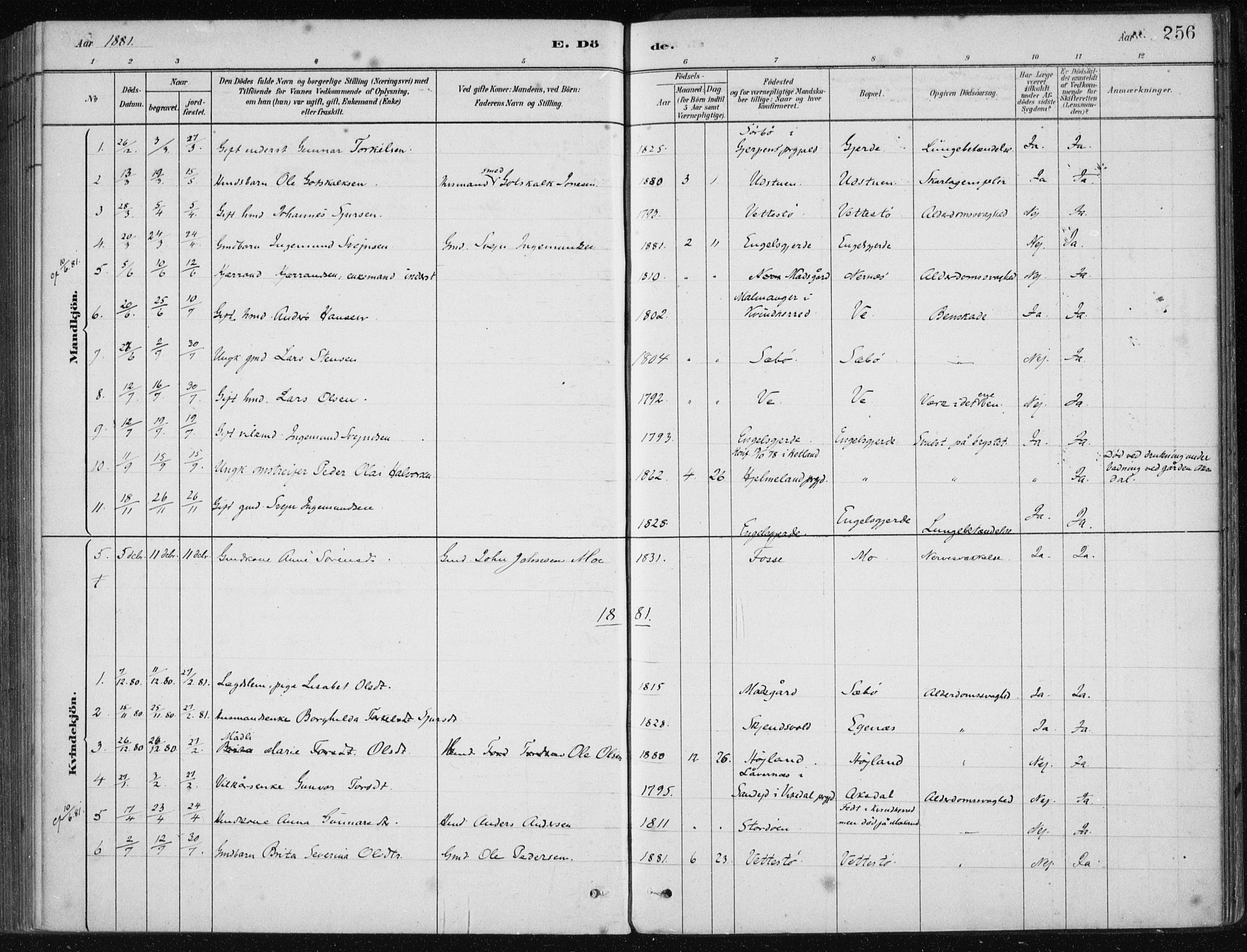Etne sokneprestembete, SAB/A-75001/H/Haa: Parish register (official) no. C  1, 1879-1919, p. 256