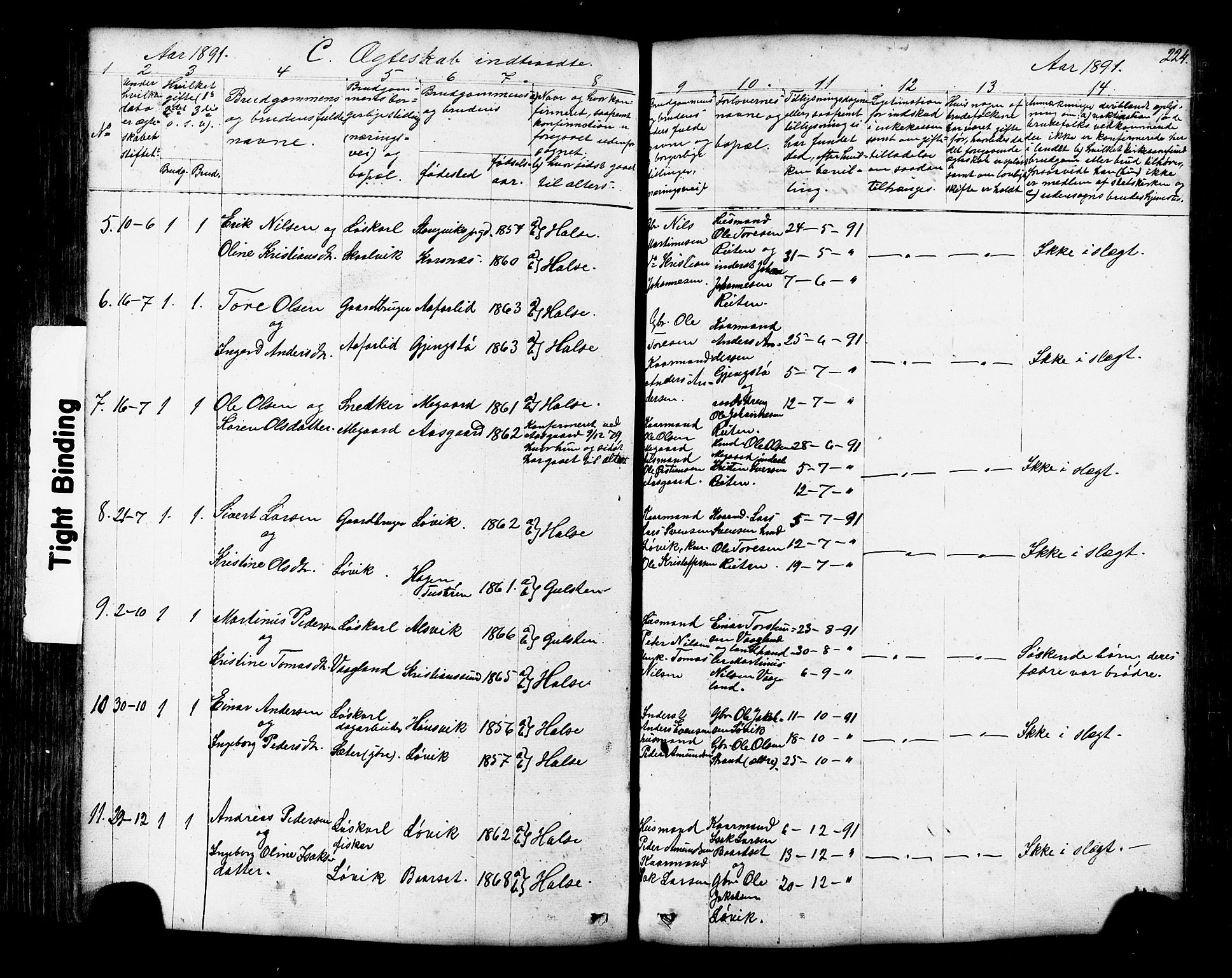 Ministerialprotokoller, klokkerbøker og fødselsregistre - Møre og Romsdal, AV/SAT-A-1454/576/L0890: Parish register (copy) no. 576C01, 1837-1908, p. 224