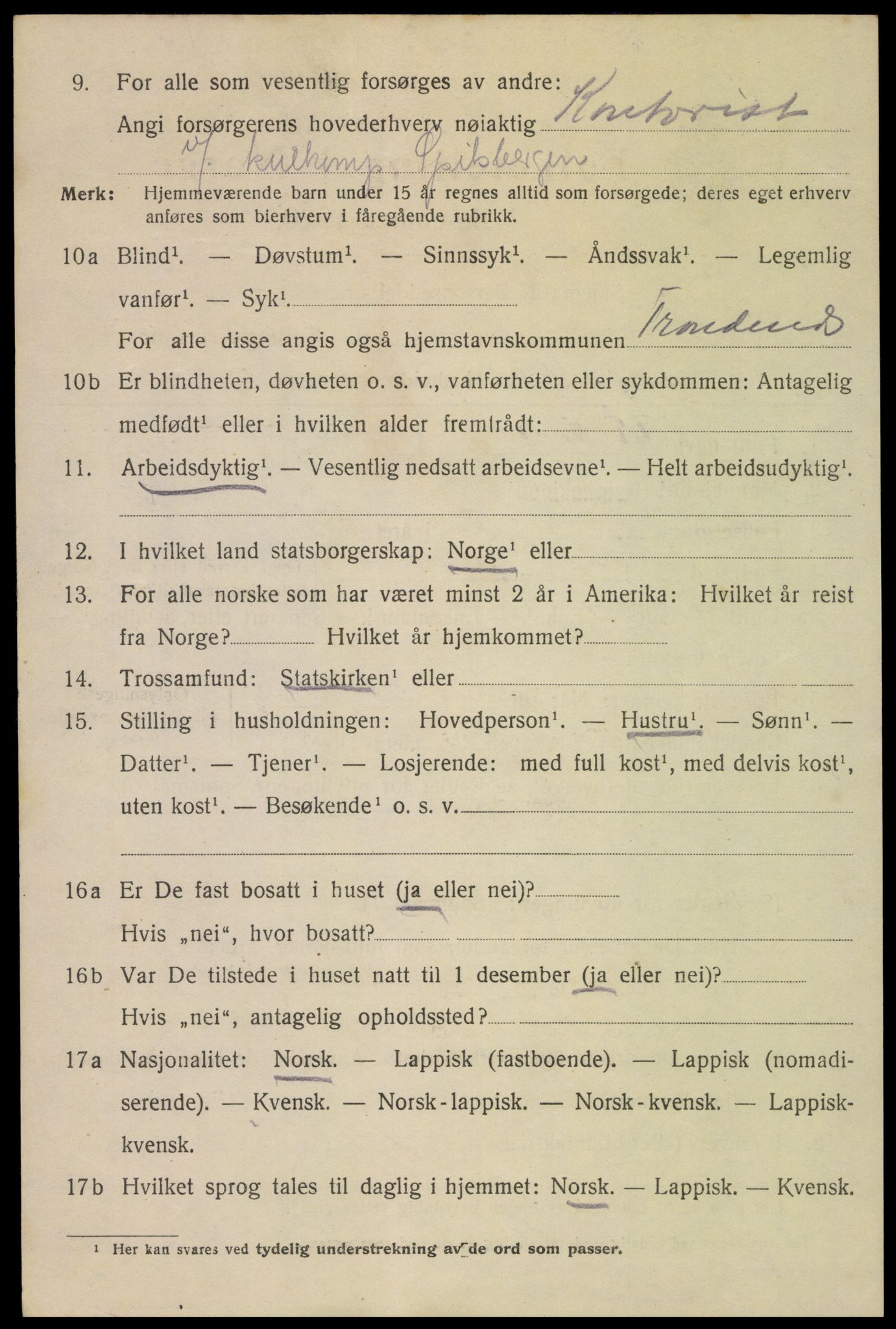 SAT, 1920 census for Svolvær, 1920, p. 3141