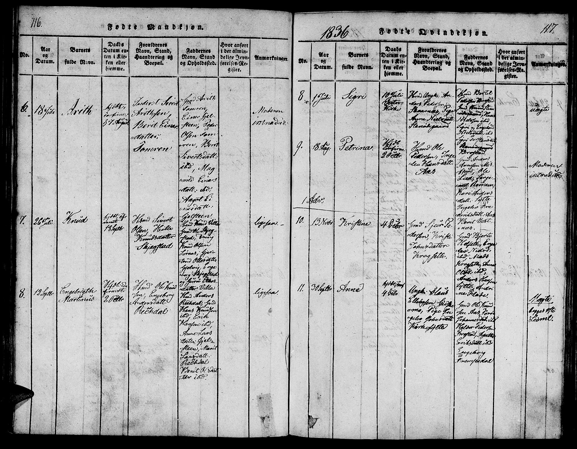 Ministerialprotokoller, klokkerbøker og fødselsregistre - Møre og Romsdal, AV/SAT-A-1454/539/L0528: Parish register (official) no. 539A01, 1818-1847, p. 116-117