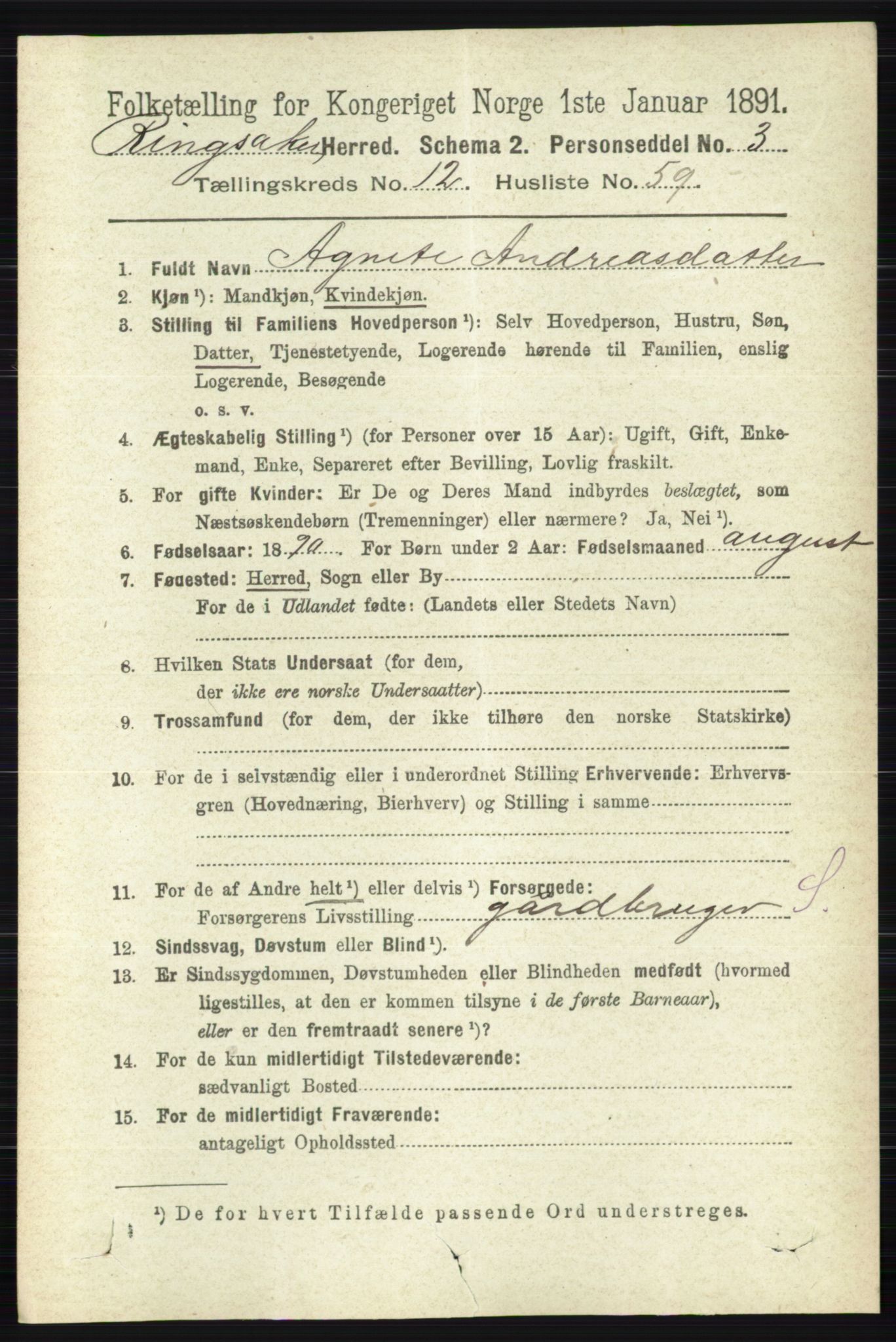 RA, 1891 census for 0412 Ringsaker, 1891, p. 7092