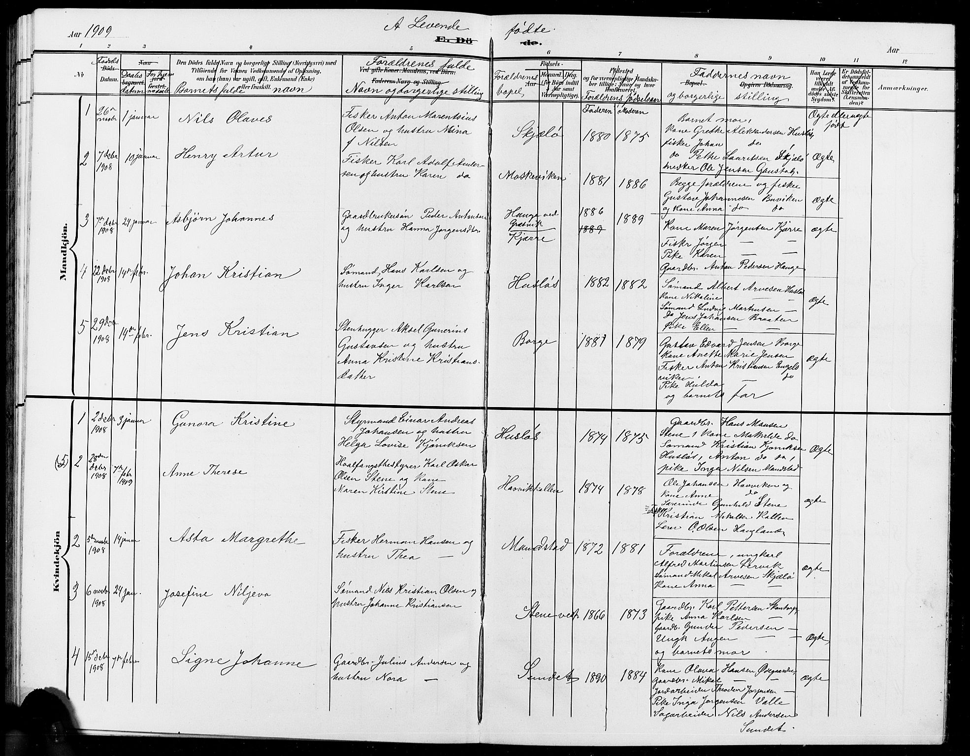 Onsøy prestekontor Kirkebøker, AV/SAO-A-10914/G/Ga/L0002: Parish register (copy) no. I 2, 1903-1909