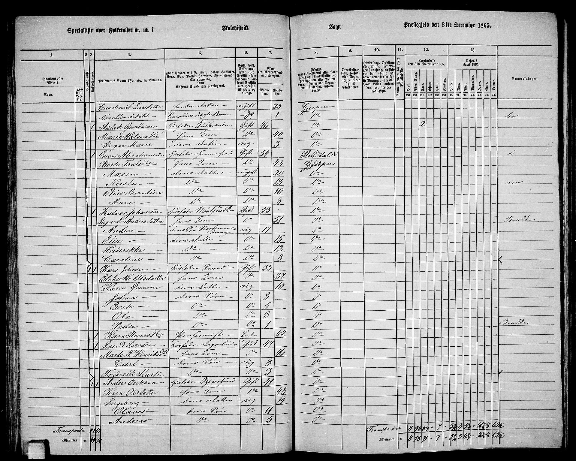 RA, 1865 census for Gjerpen, 1865, p. 51