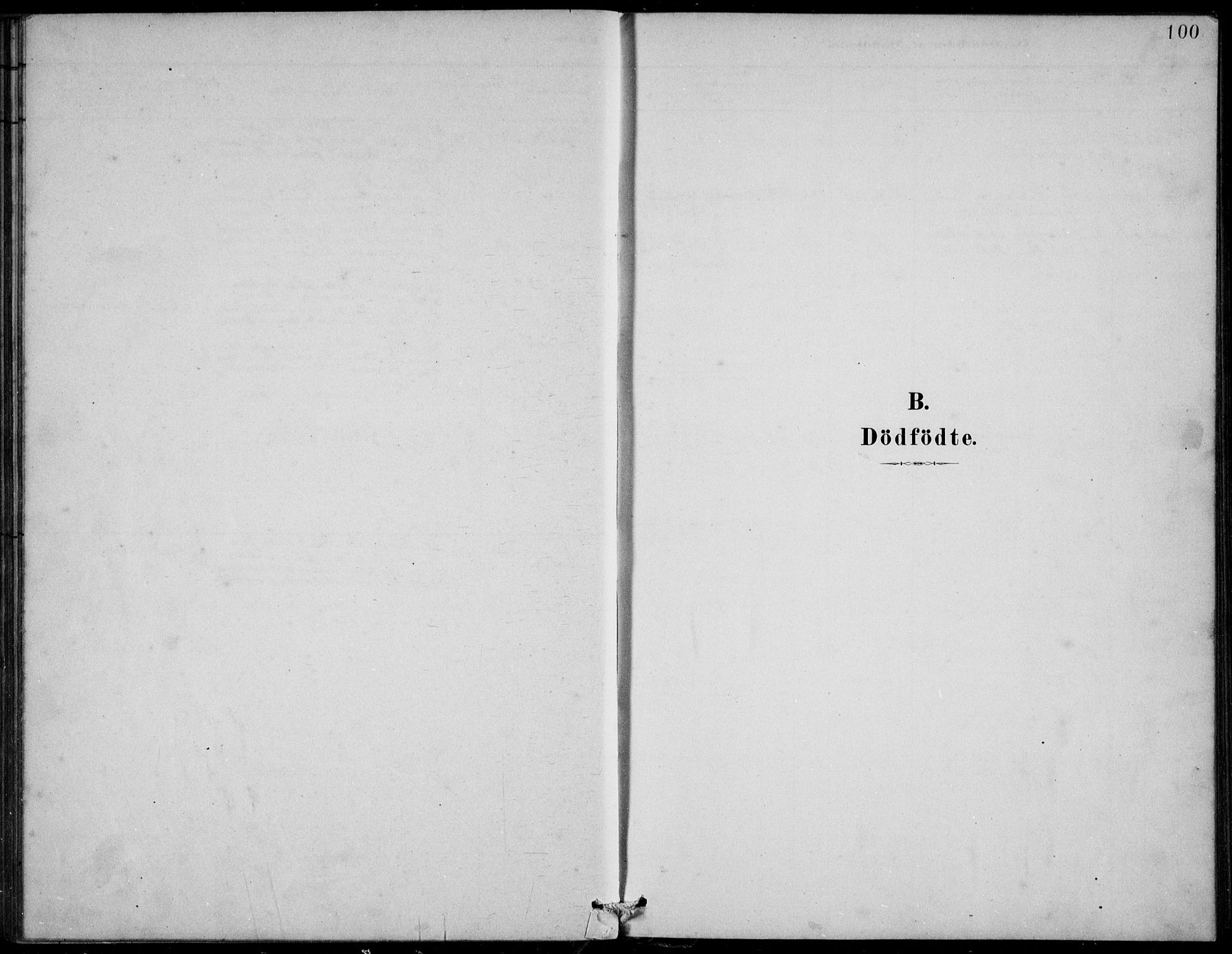 Askvoll sokneprestembete, SAB/A-79501/H/Hab/Habb/L0001: Parish register (copy) no. B 1, 1879-1909, p. 100