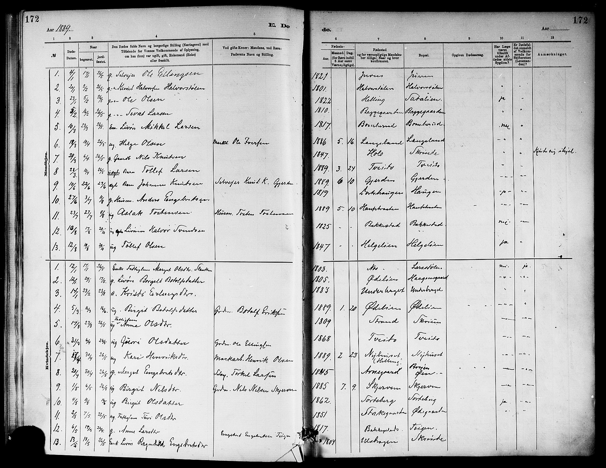 Ål kirkebøker, SAKO/A-249/F/Fa/L0008: Parish register (official) no. I 8, 1882-1896, p. 172