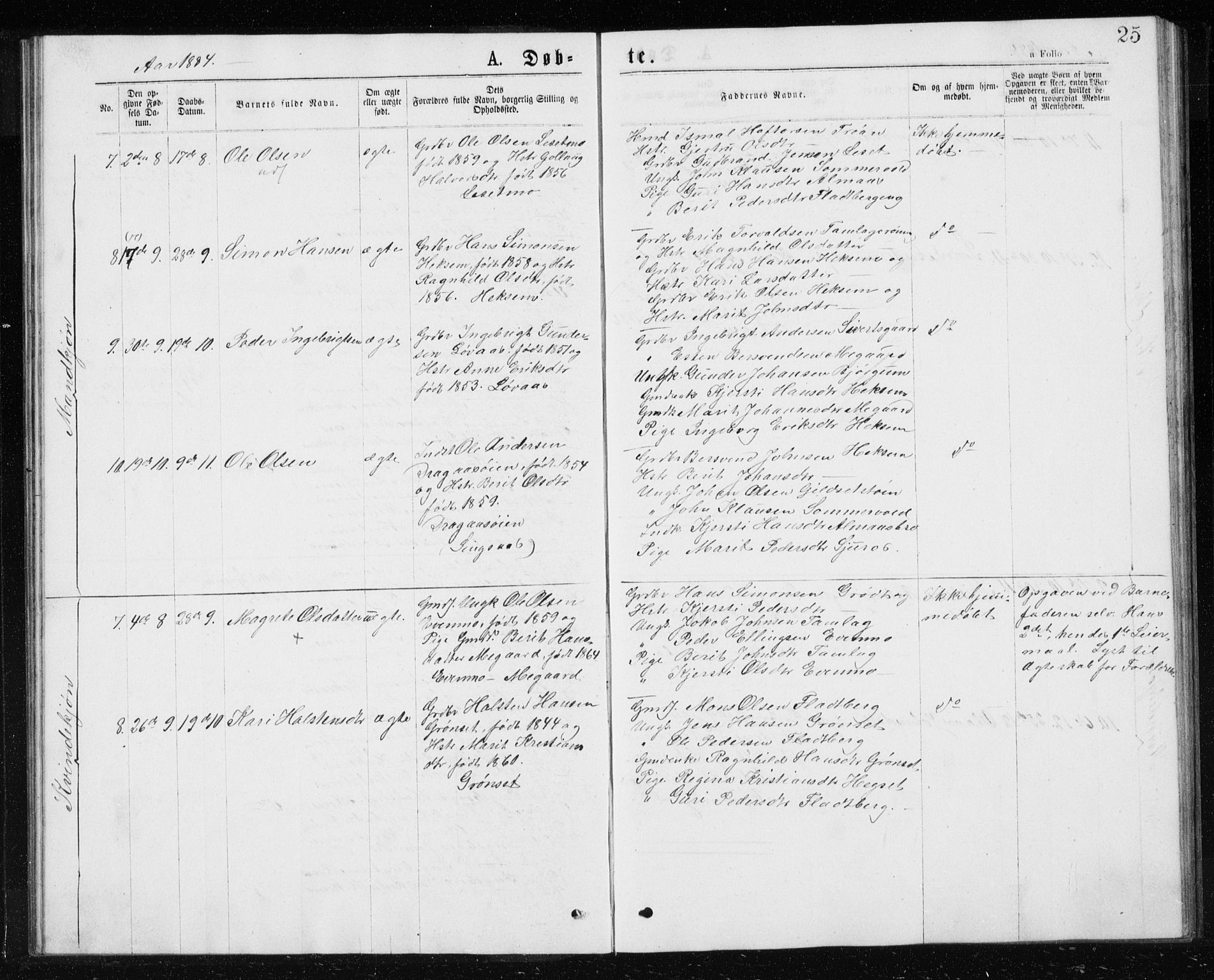 Ministerialprotokoller, klokkerbøker og fødselsregistre - Sør-Trøndelag, SAT/A-1456/685/L0977: Parish register (copy) no. 685C02, 1879-1890, p. 25