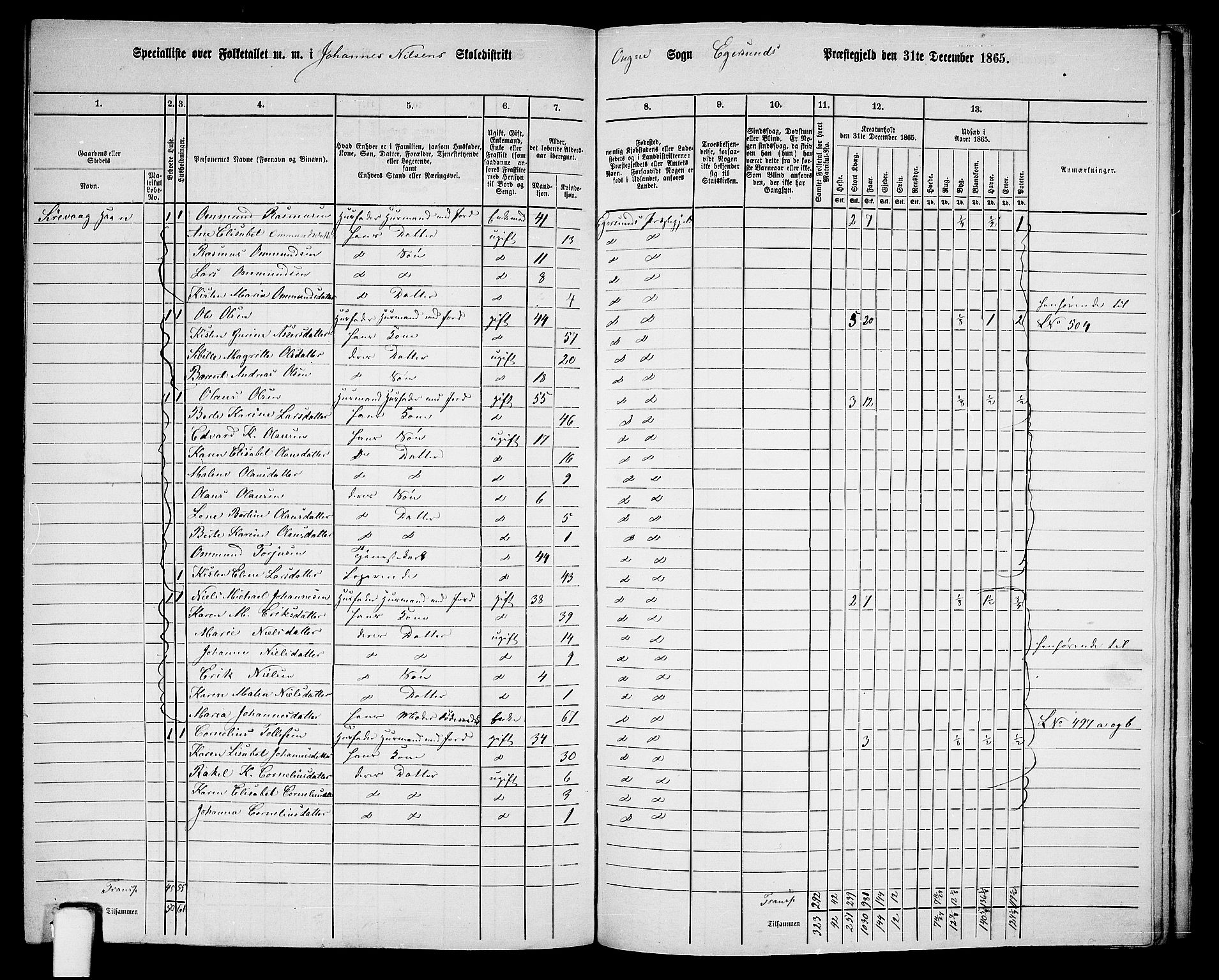 RA, 1865 census for Eigersund/Eigersund og Ogna, 1865, p. 141