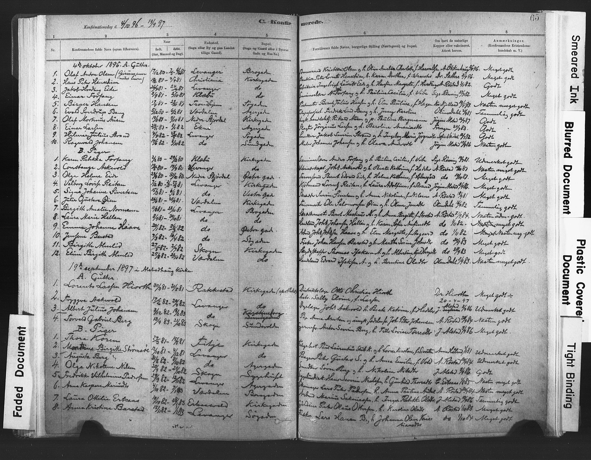 Ministerialprotokoller, klokkerbøker og fødselsregistre - Nord-Trøndelag, SAT/A-1458/720/L0189: Parish register (official) no. 720A05, 1880-1911, p. 65