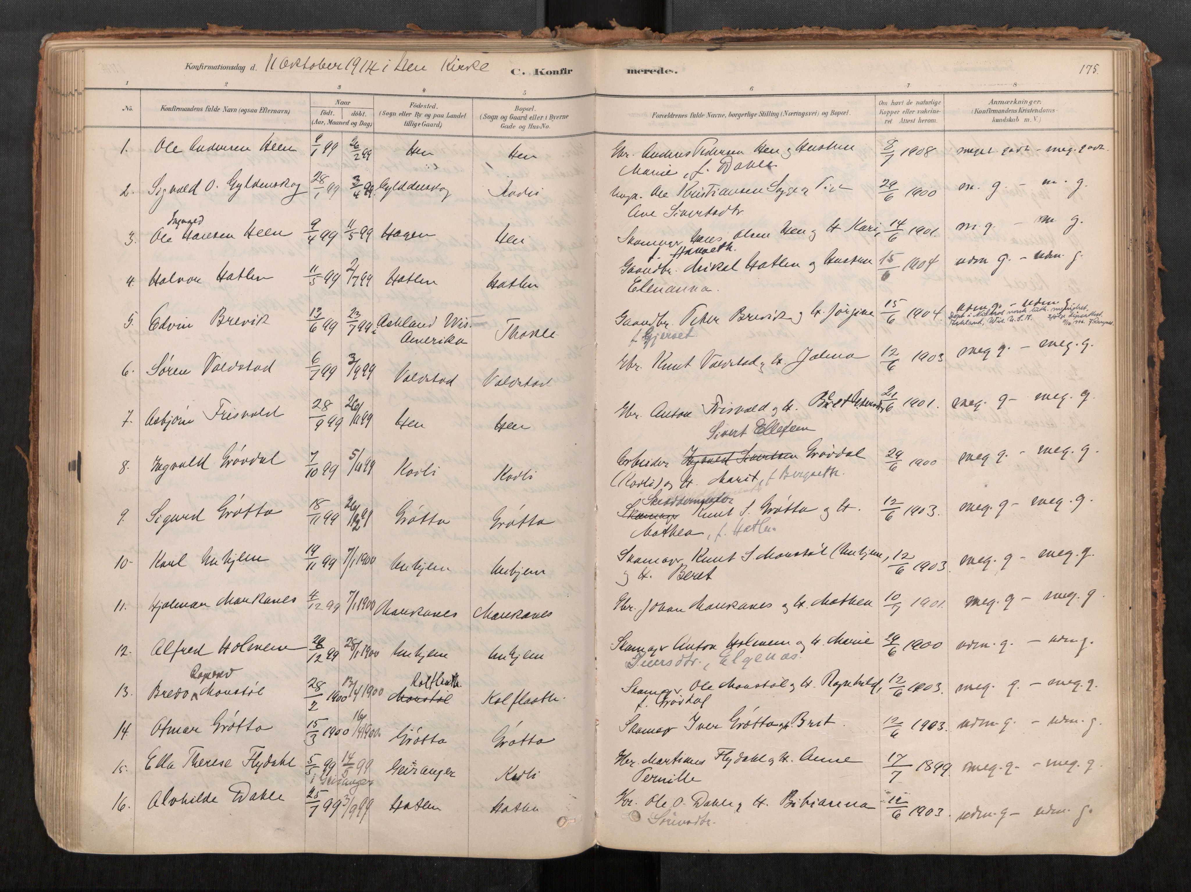 Ministerialprotokoller, klokkerbøker og fødselsregistre - Møre og Romsdal, SAT/A-1454/545/L0594: Parish register (official) no. 545A03, 1878-1920, p. 175