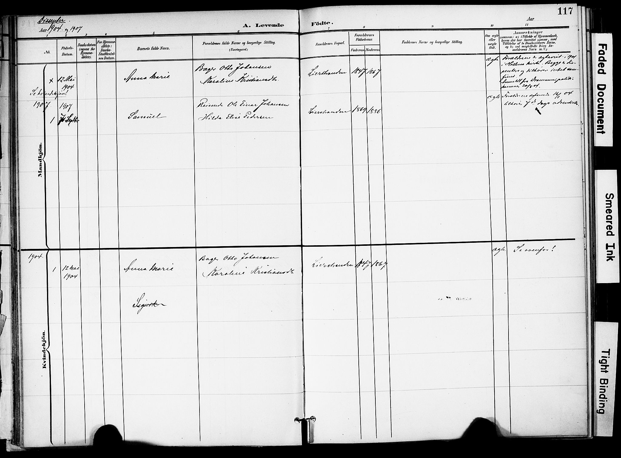 Lier kirkebøker, SAKO/A-230/F/Fa/L0017: Parish register (official) no. I 17, 1901-1908, p. 117
