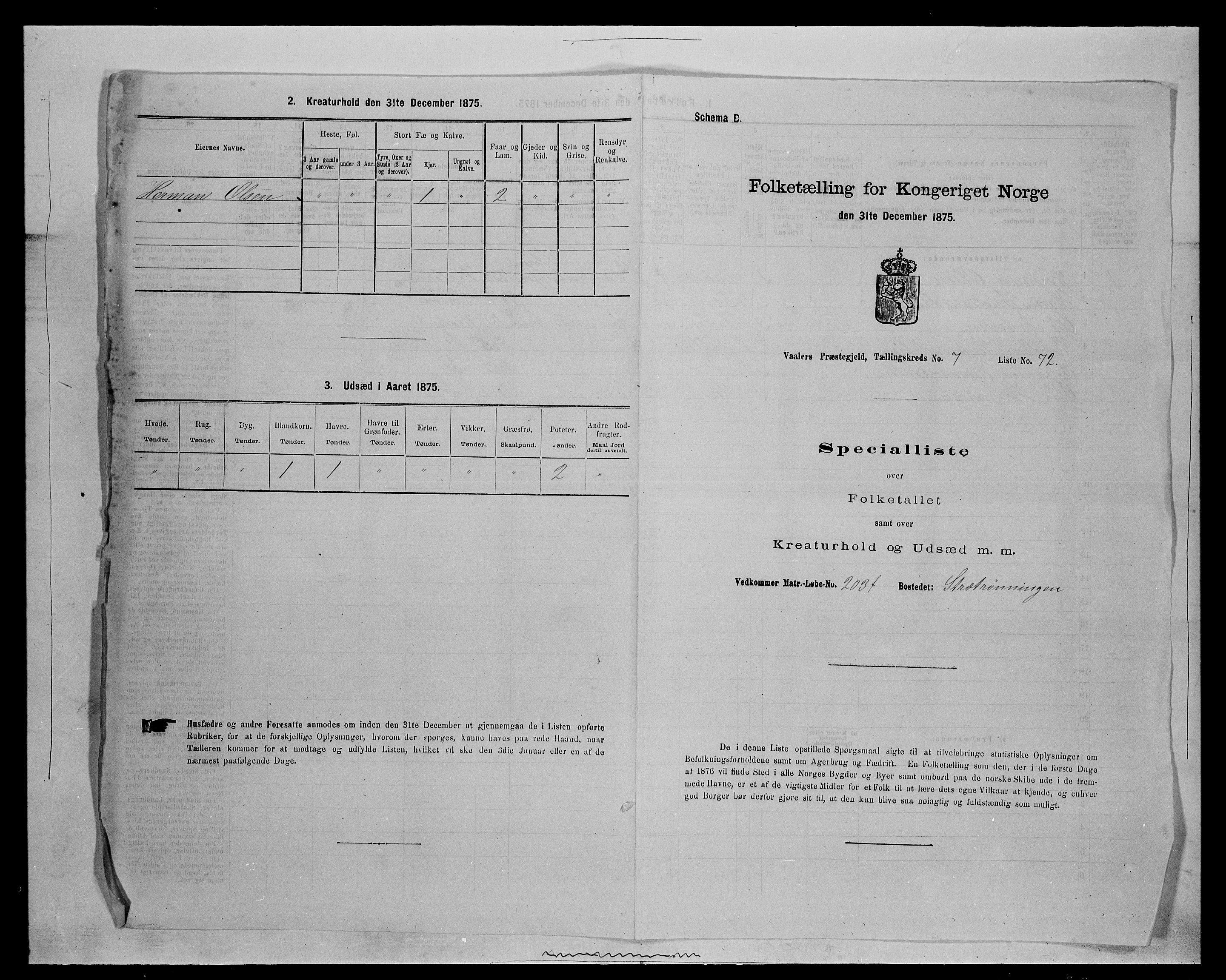 SAH, 1875 census for 0426P Våler parish (Hedmark), 1875, p. 1021