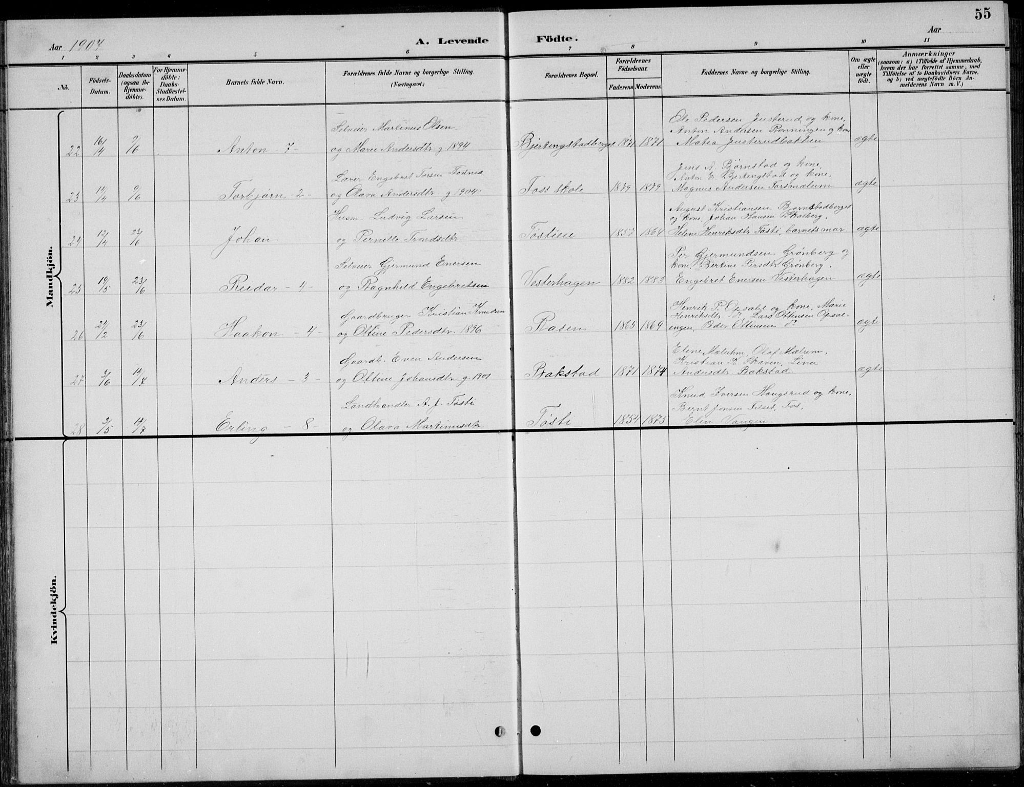 Romedal prestekontor, AV/SAH-PREST-004/L/L0013: Parish register (copy) no. 13, 1896-1937, p. 55