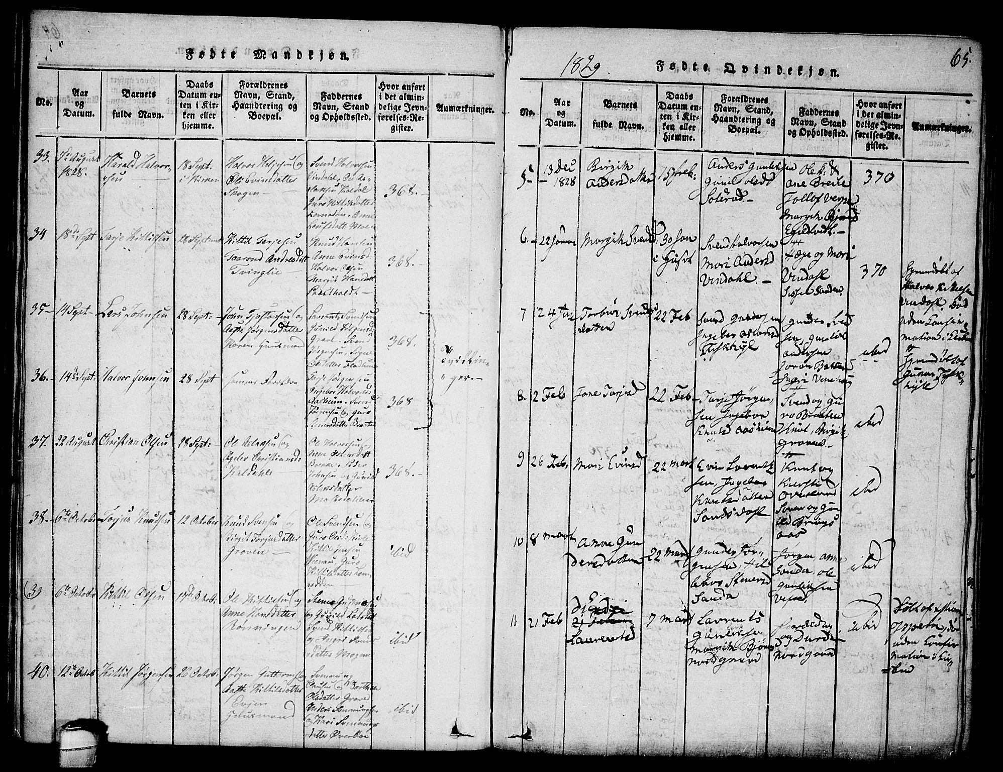 Seljord kirkebøker, SAKO/A-20/F/Fa/L0010: Parish register (official) no. I 10, 1815-1831, p. 65