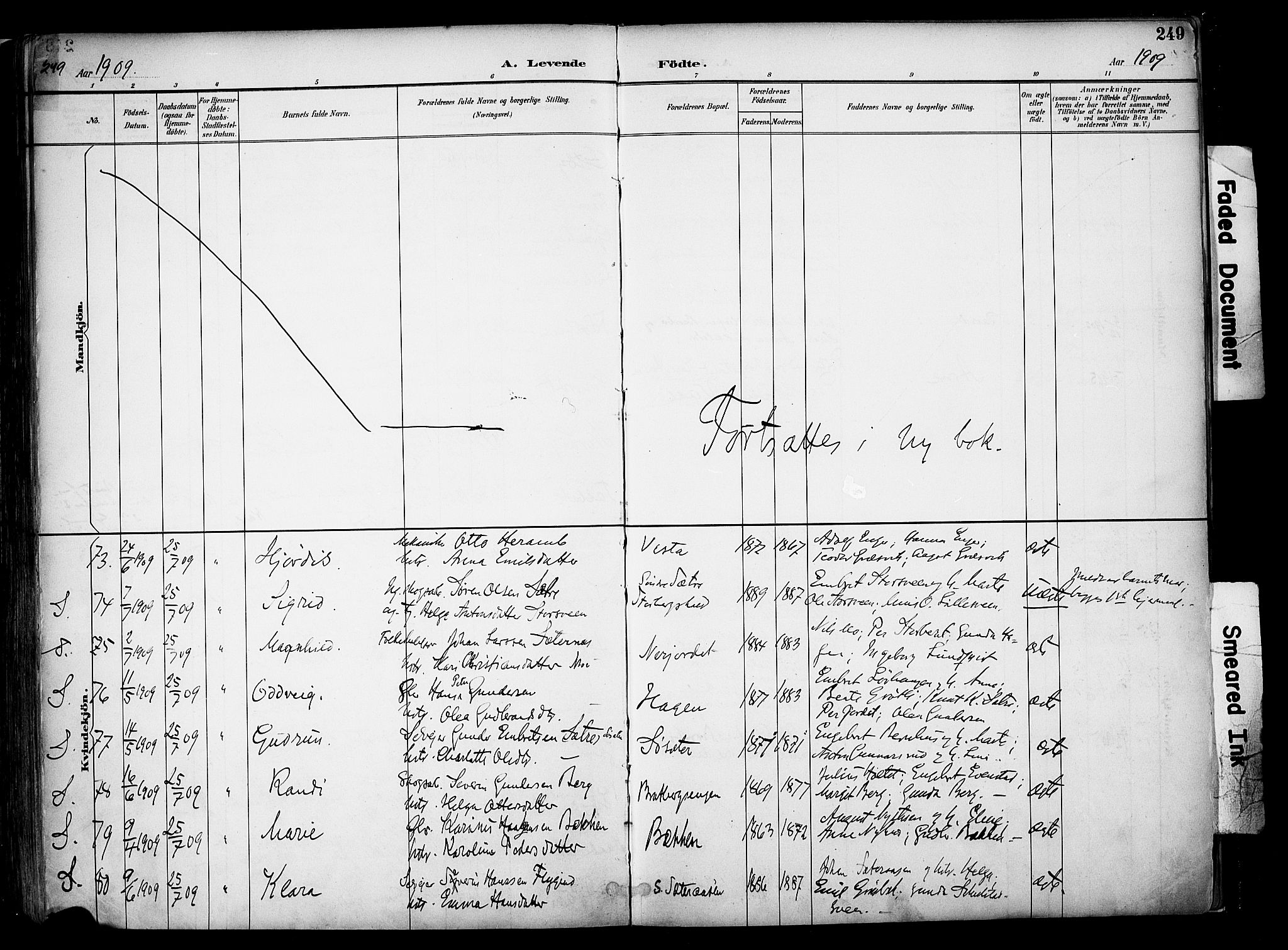 Elverum prestekontor, AV/SAH-PREST-044/H/Ha/Haa/L0014: Parish register (official) no. 14, 1891-1909, p. 249