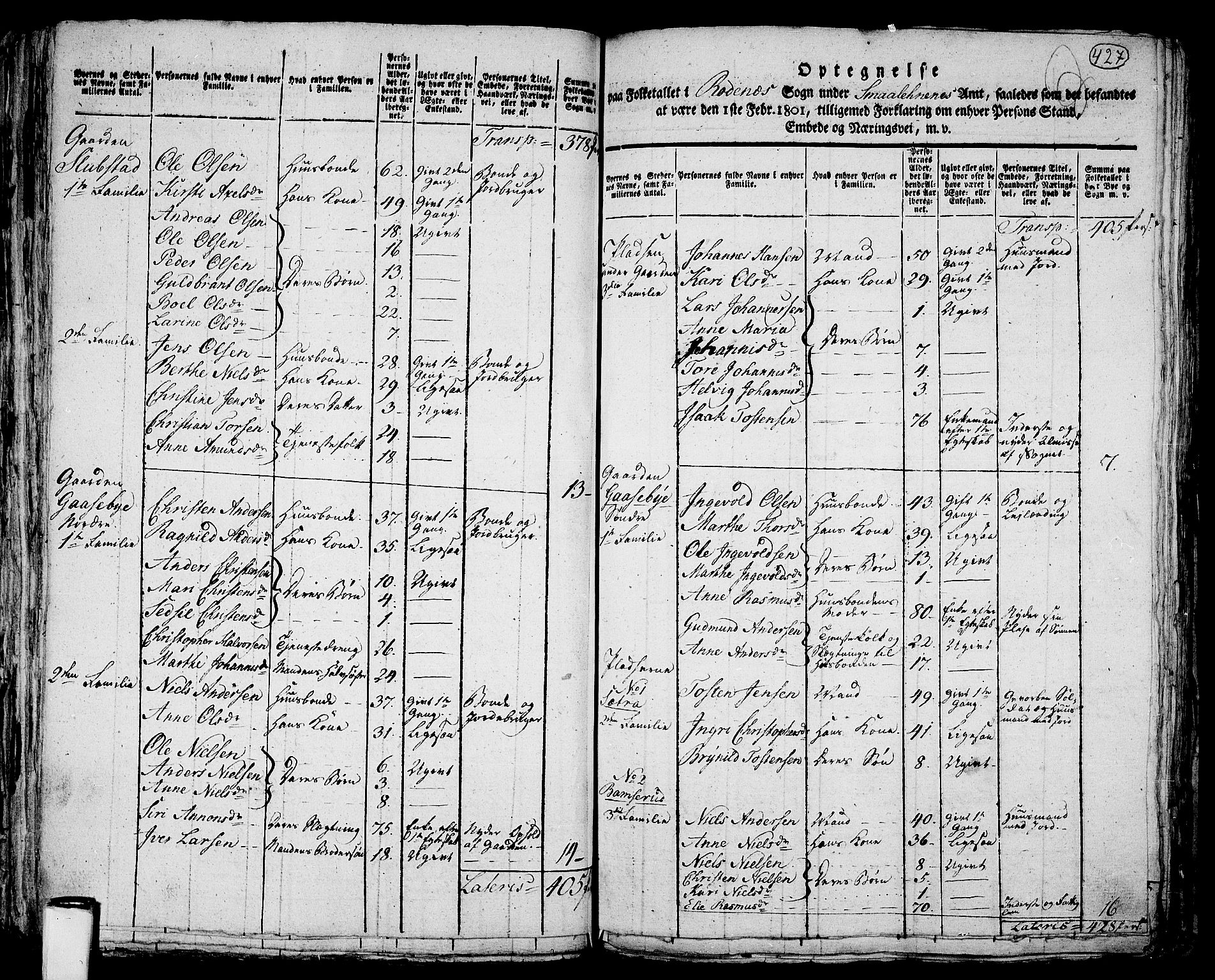 RA, 1801 census for 0120P Rødenes, 1801, p. 426b-427a