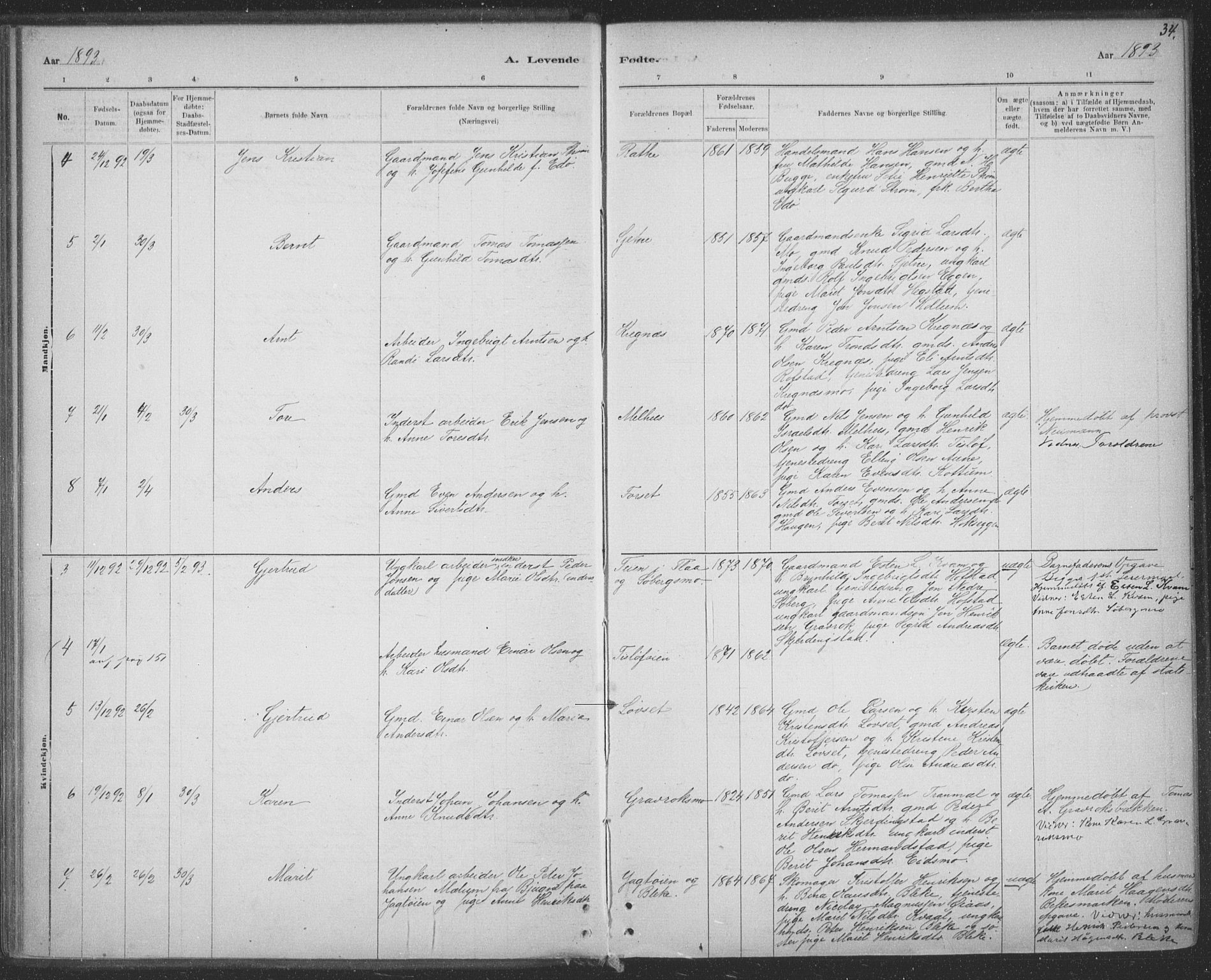 Ministerialprotokoller, klokkerbøker og fødselsregistre - Sør-Trøndelag, AV/SAT-A-1456/691/L1085: Parish register (official) no. 691A17, 1887-1908, p. 34