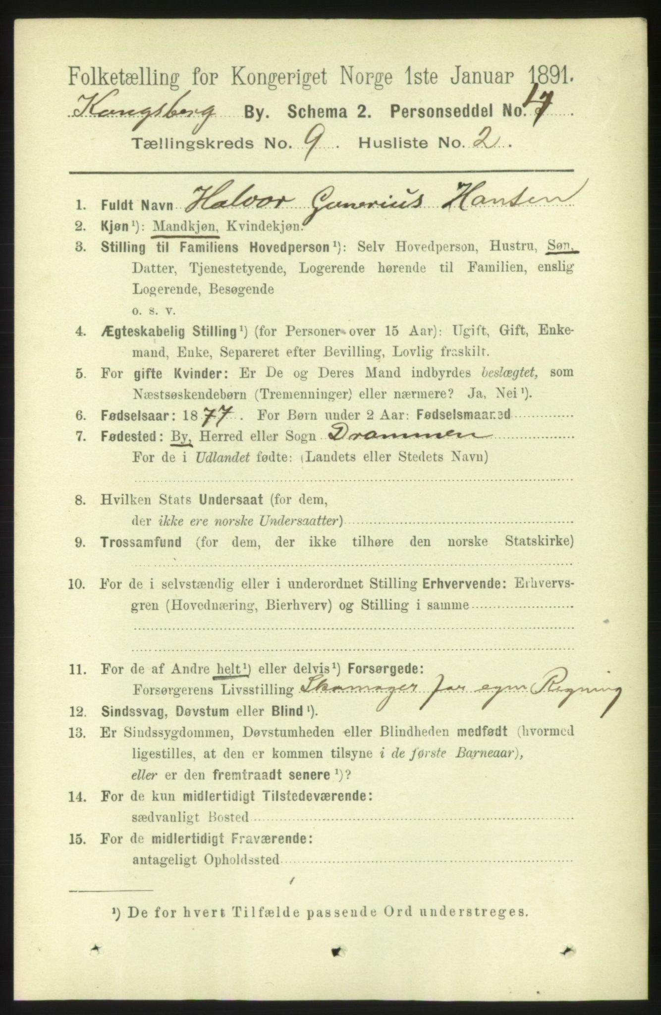 RA, 1891 census for 0604 Kongsberg, 1891, p. 6053