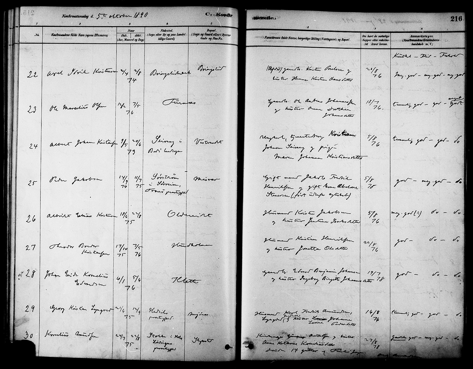 Ministerialprotokoller, klokkerbøker og fødselsregistre - Nordland, AV/SAT-A-1459/852/L0740: Parish register (official) no. 852A10, 1878-1894, p. 216