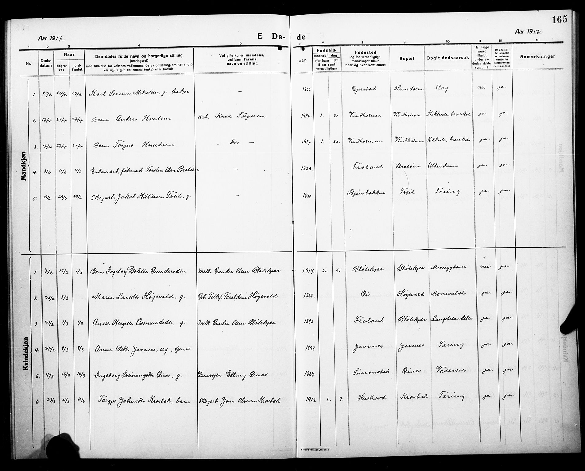 Åmli sokneprestkontor, AV/SAK-1111-0050/F/Fb/Fbc/L0006: Parish register (copy) no. B 6, 1915-1929, p. 165