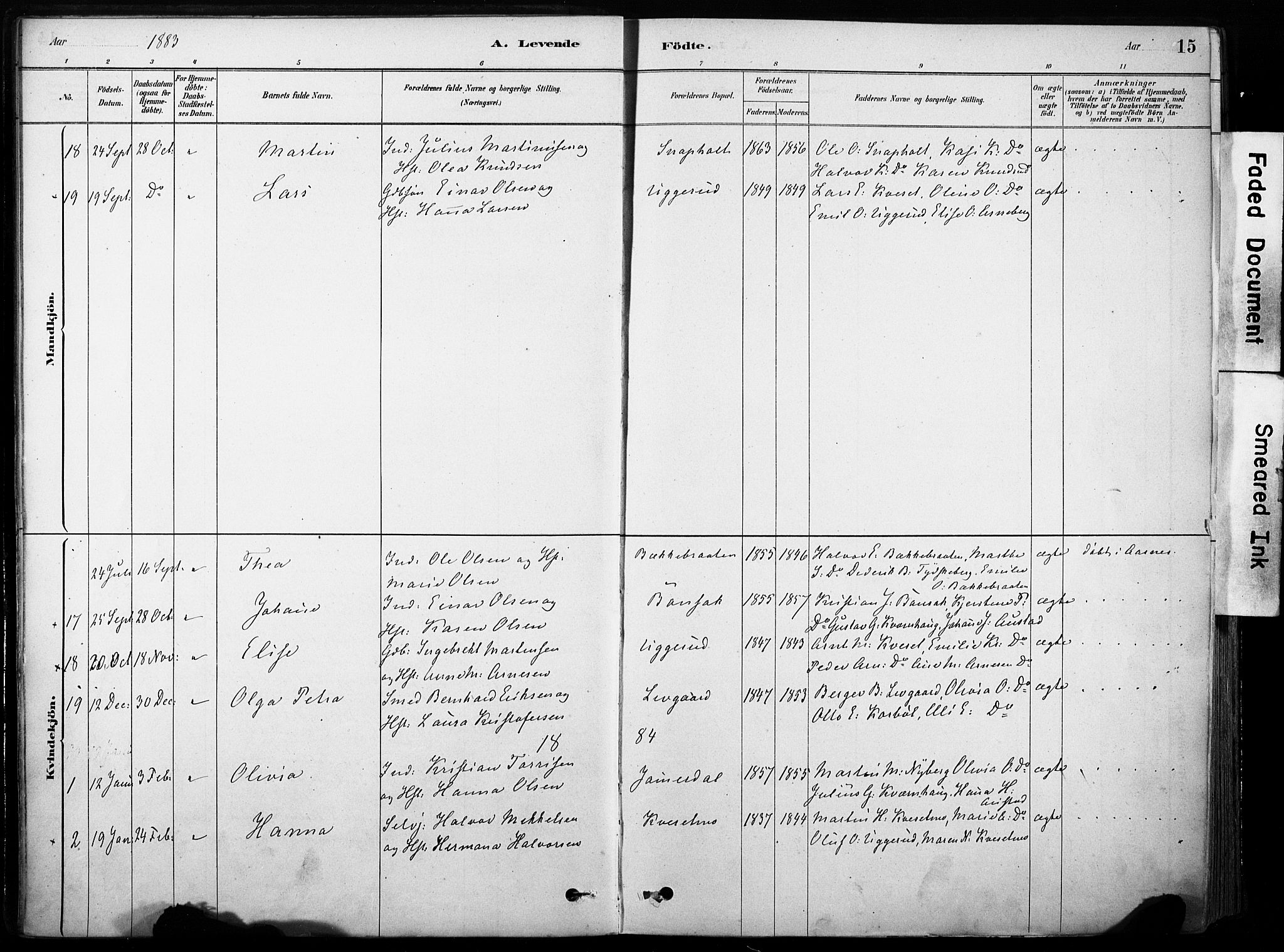 Hof prestekontor, AV/SAH-PREST-038/H/Ha/Haa/L0011: Parish register (official) no. 11, 1879-1911, p. 15