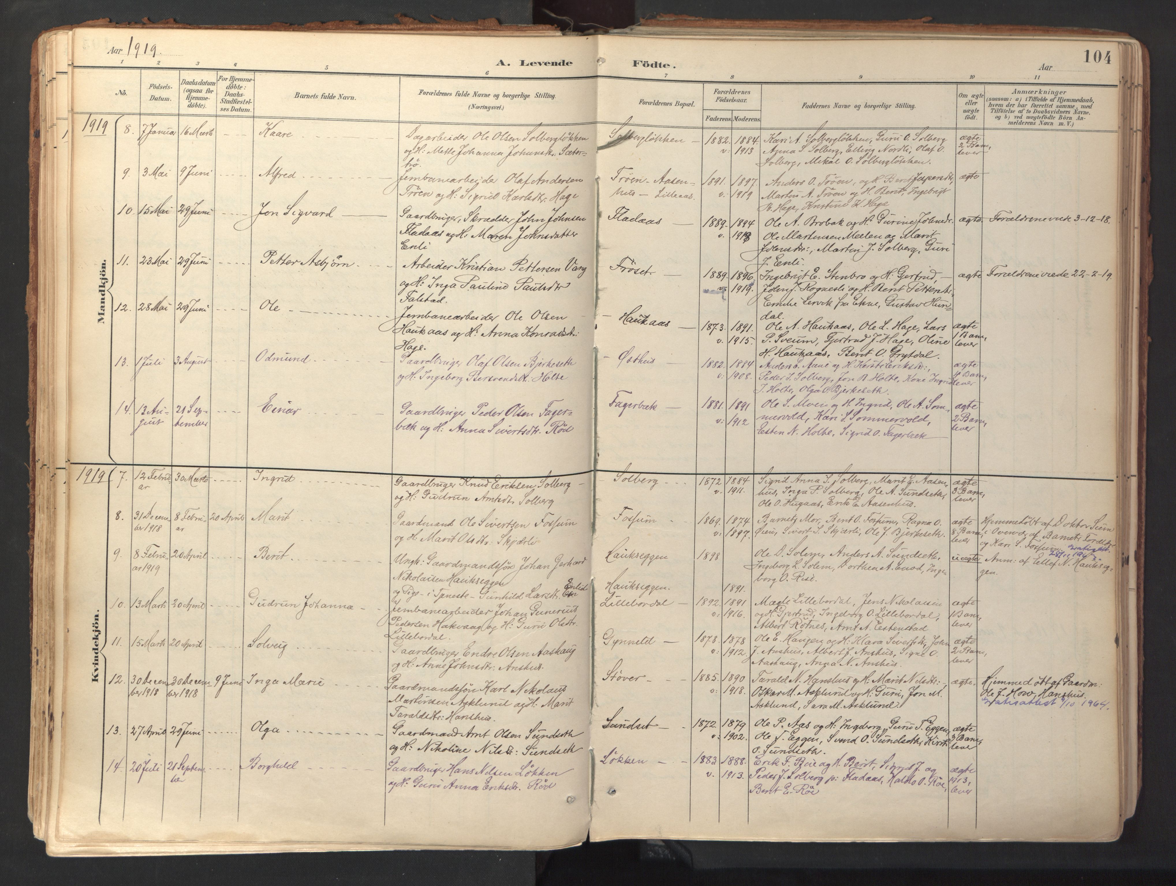 Ministerialprotokoller, klokkerbøker og fødselsregistre - Sør-Trøndelag, SAT/A-1456/689/L1041: Parish register (official) no. 689A06, 1891-1923, p. 104