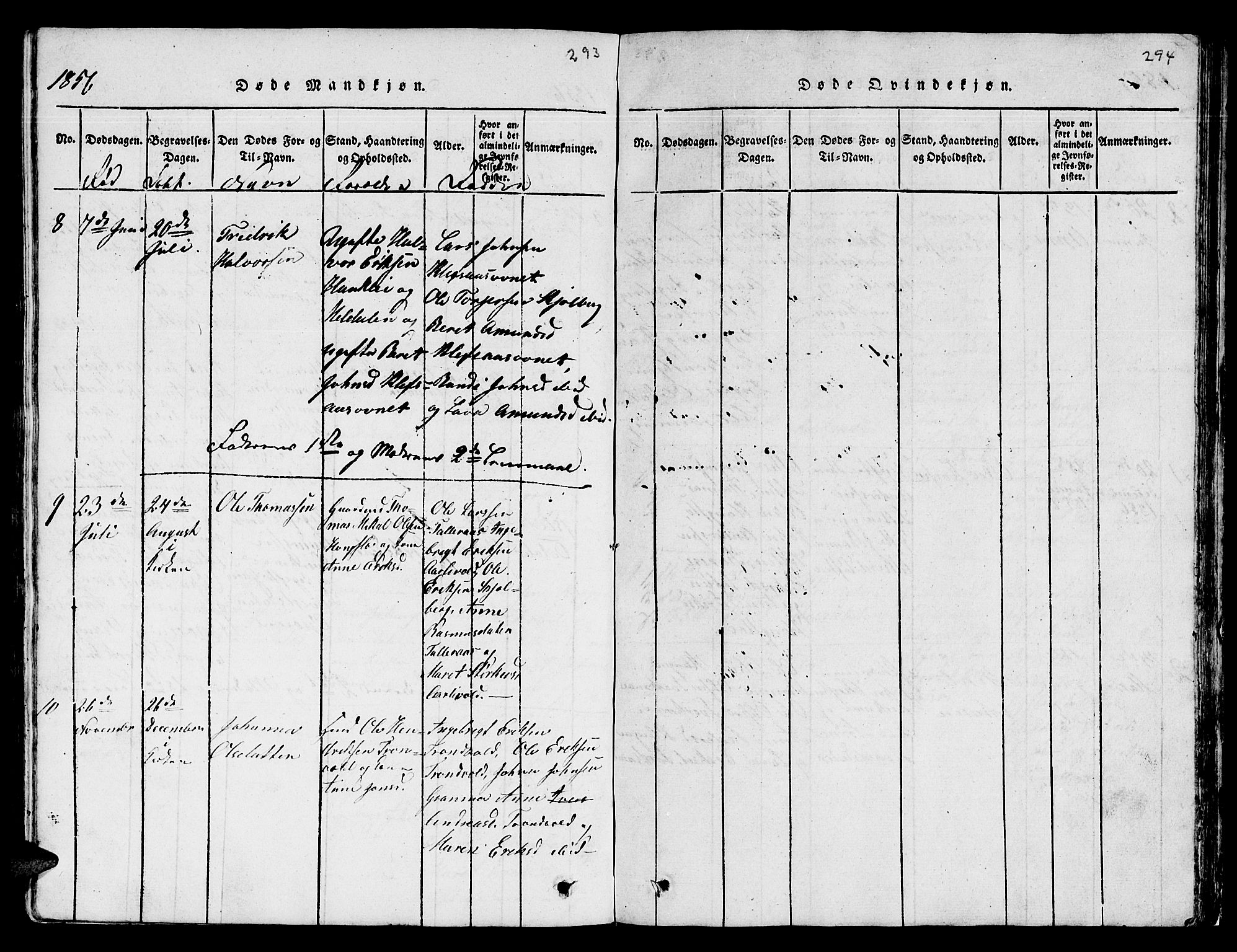 Ministerialprotokoller, klokkerbøker og fødselsregistre - Sør-Trøndelag, SAT/A-1456/671/L0842: Parish register (copy) no. 671C01, 1816-1867, p. 293-294