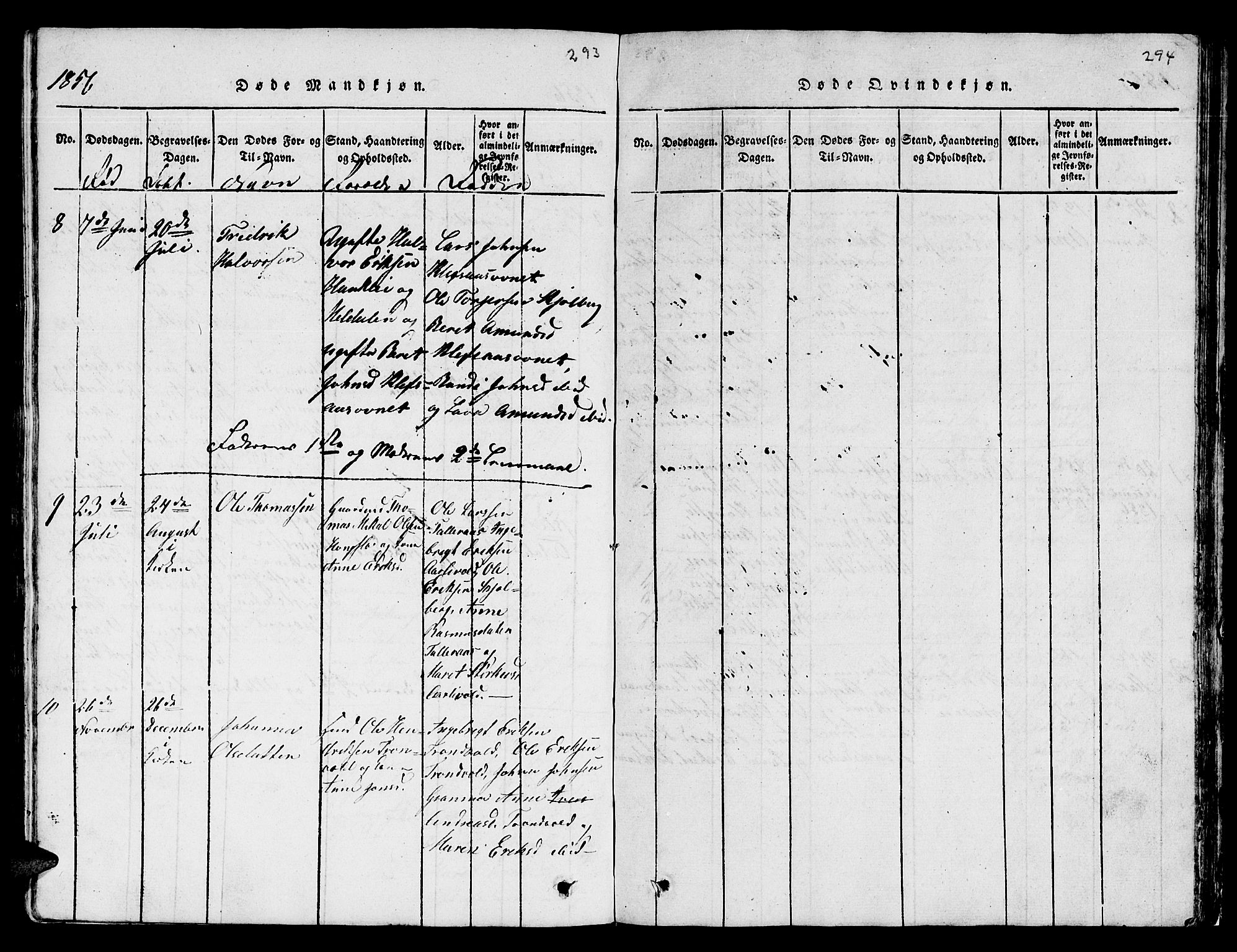 Ministerialprotokoller, klokkerbøker og fødselsregistre - Sør-Trøndelag, AV/SAT-A-1456/671/L0842: Parish register (copy) no. 671C01, 1816-1867, p. 293-294