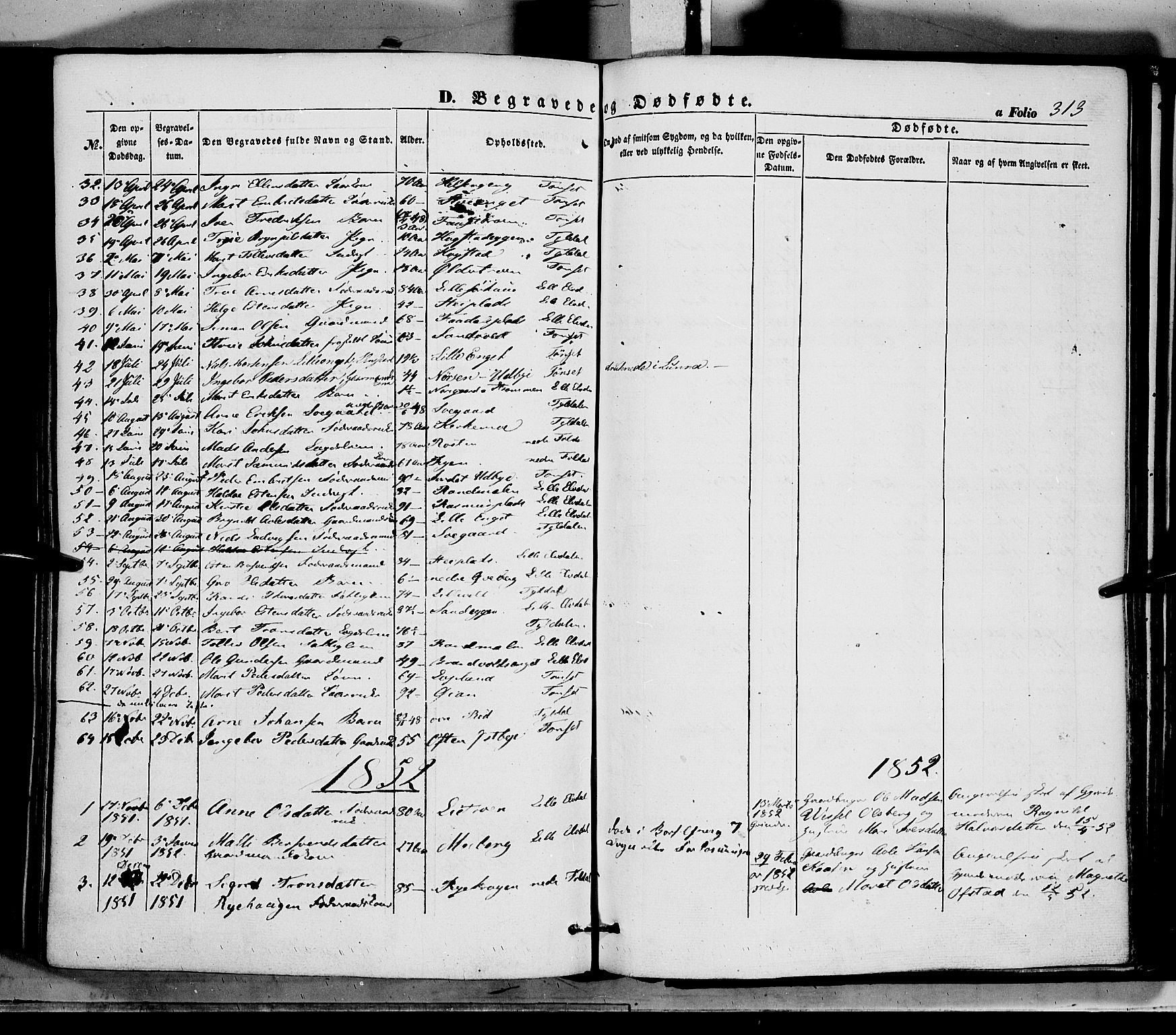Tynset prestekontor, SAH/PREST-058/H/Ha/Haa/L0020: Parish register (official) no. 20, 1848-1862, p. 313