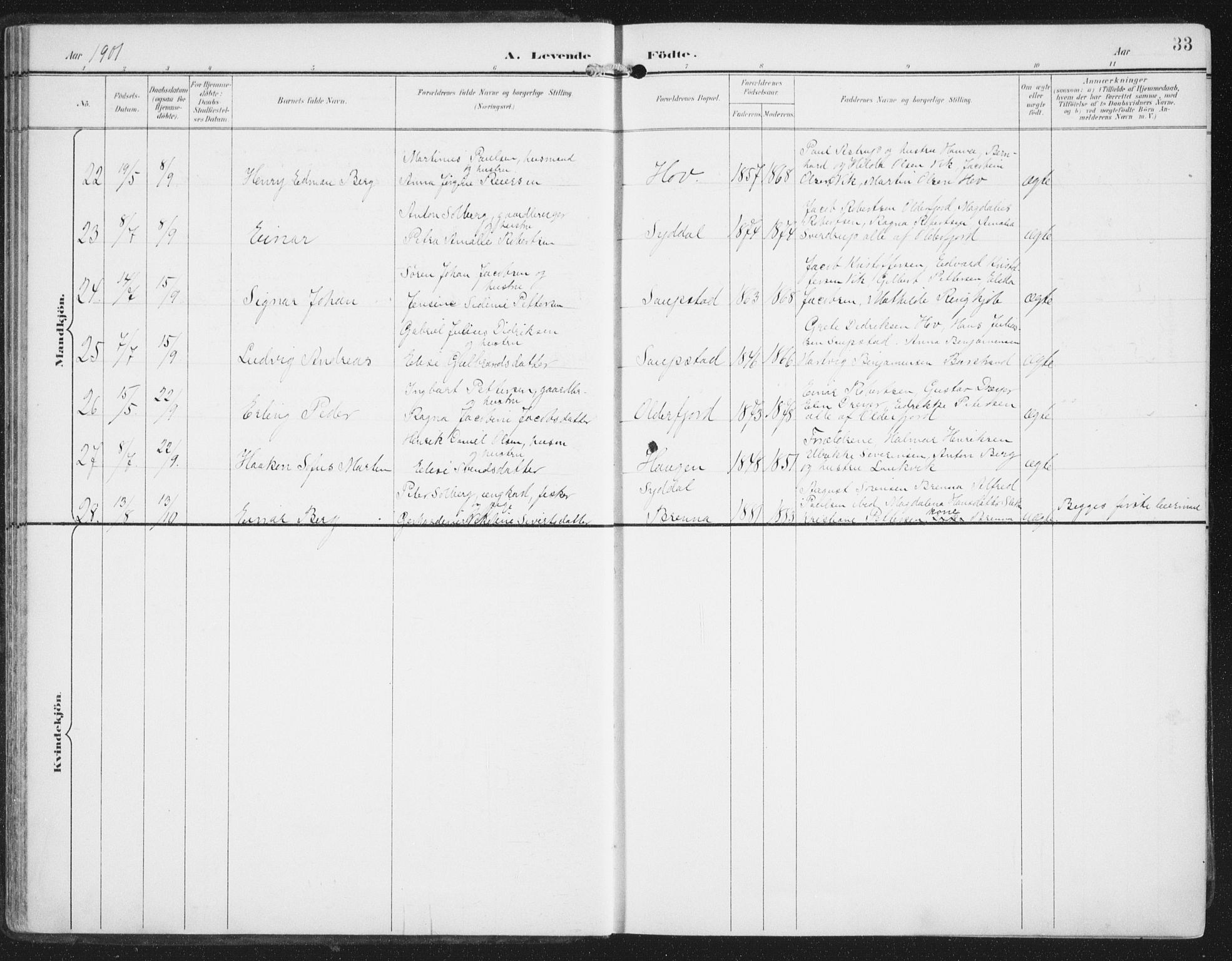 Ministerialprotokoller, klokkerbøker og fødselsregistre - Nordland, AV/SAT-A-1459/876/L1098: Parish register (official) no. 876A04, 1896-1915, p. 33