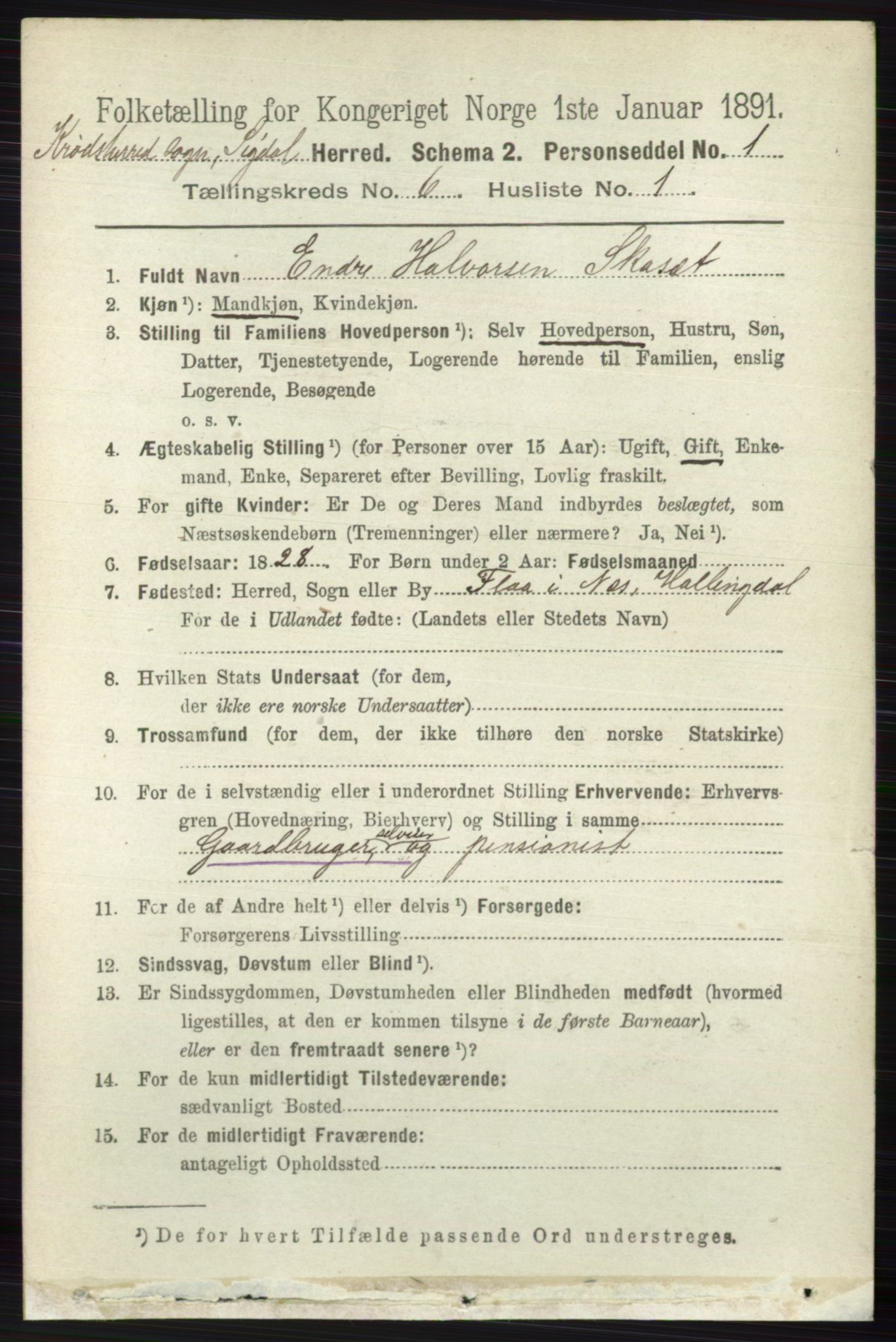 RA, 1891 census for 0621 Sigdal, 1891, p. 6633