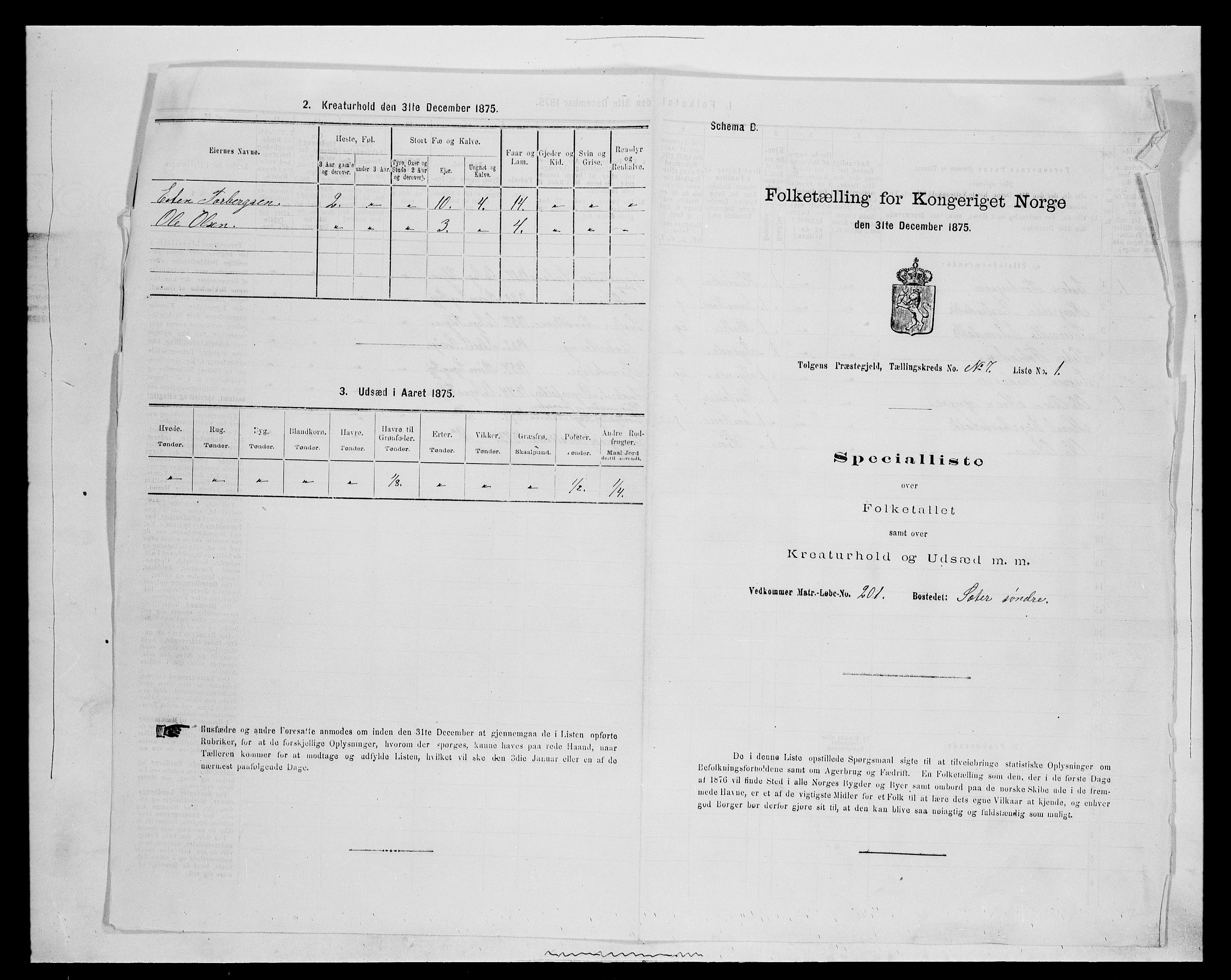 SAH, 1875 census for 0436P Tolga, 1875, p. 695