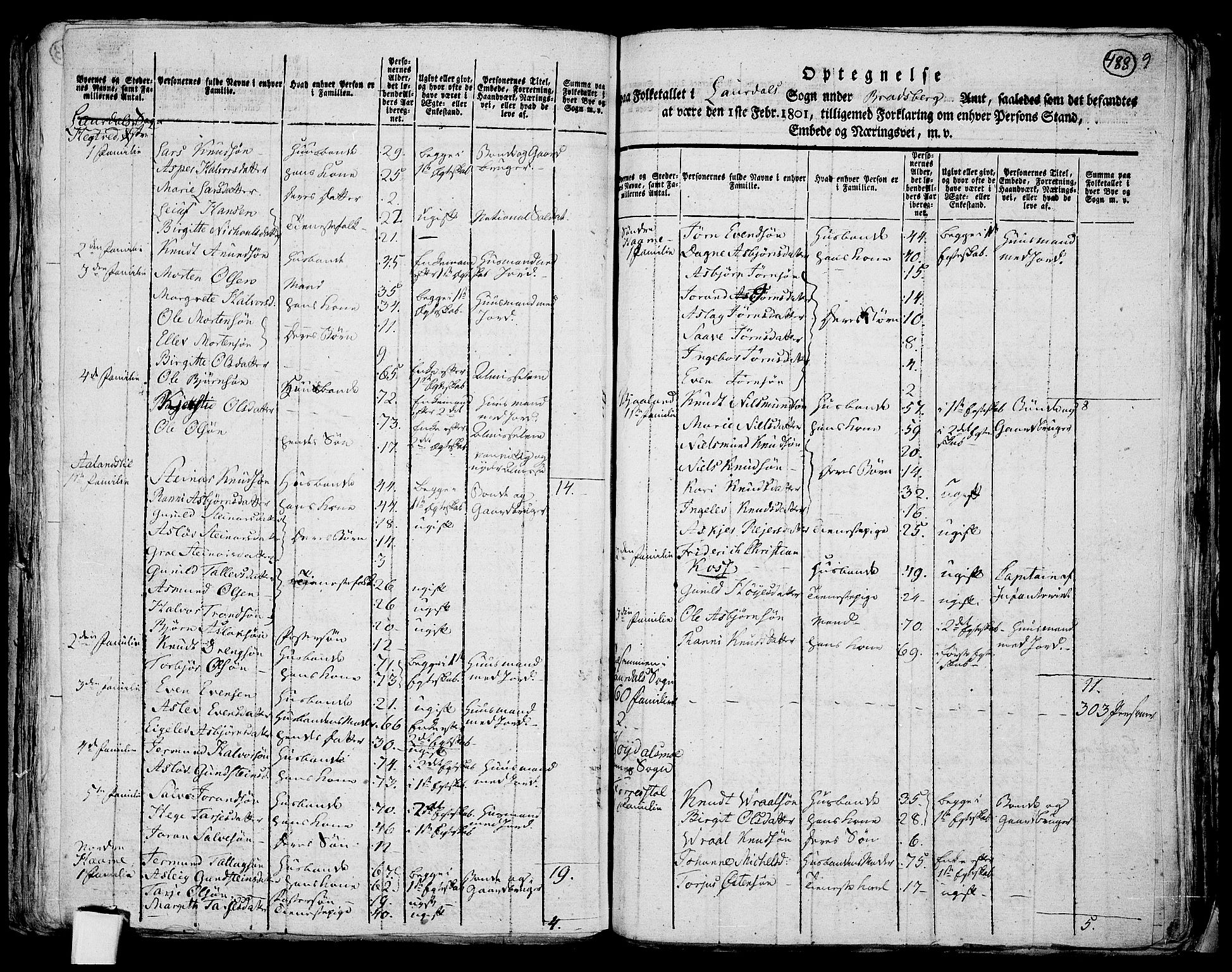 RA, 1801 census for 0833P Lårdal, 1801, p. 487b-488a