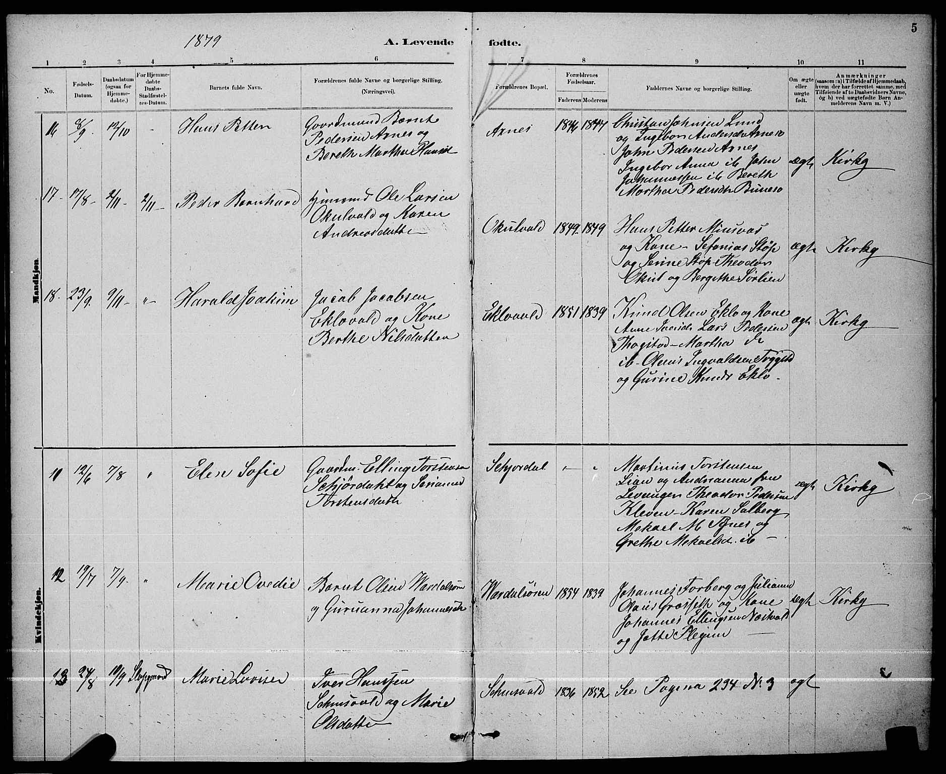 Ministerialprotokoller, klokkerbøker og fødselsregistre - Nord-Trøndelag, AV/SAT-A-1458/723/L0256: Parish register (copy) no. 723C04, 1879-1890, p. 5