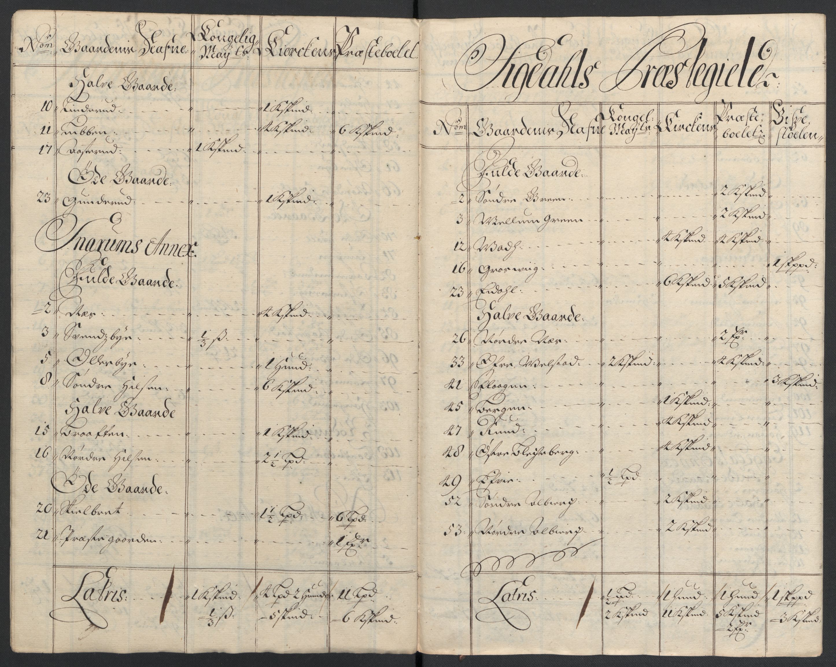 Rentekammeret inntil 1814, Reviderte regnskaper, Fogderegnskap, AV/RA-EA-4092/R22/L1465: Fogderegnskap Ringerike, Hallingdal og Buskerud, 1706, p. 254