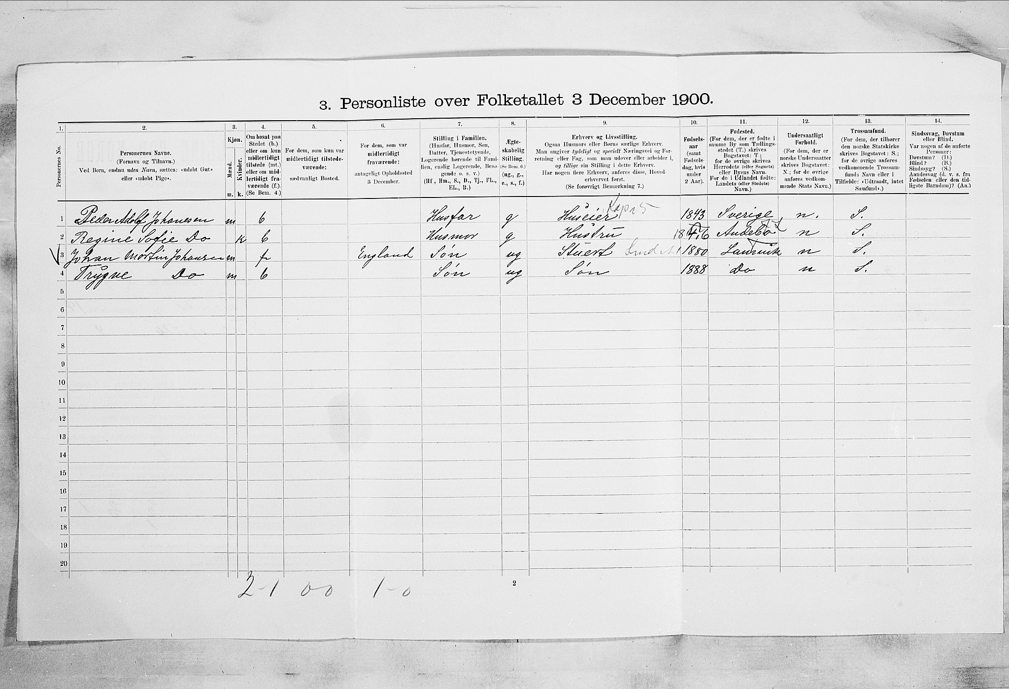 RA, 1900 census for Larvik, 1900, p. 1333