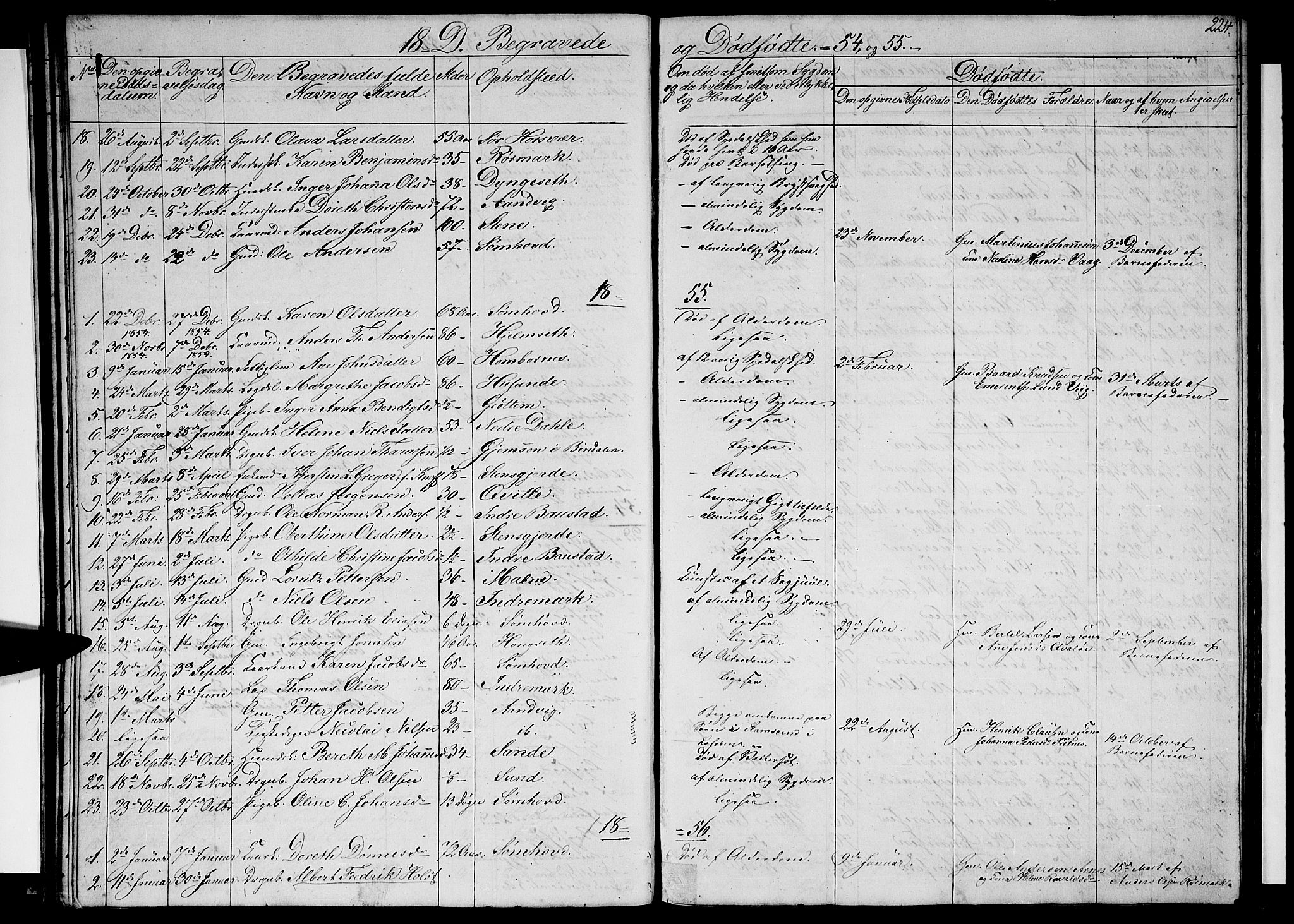 Ministerialprotokoller, klokkerbøker og fødselsregistre - Nordland, SAT/A-1459/812/L0187: Parish register (copy) no. 812C05, 1850-1883, p. 224