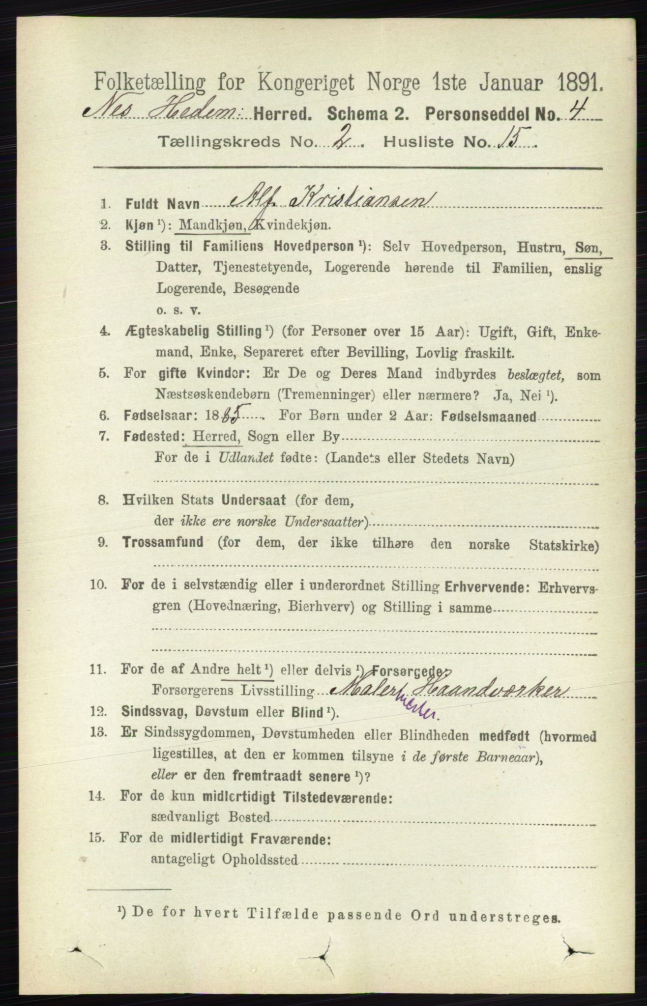 RA, 1891 census for 0411 Nes, 1891, p. 1163