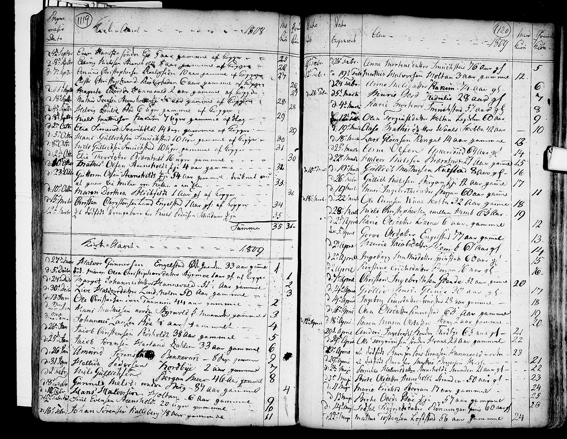 Lardal kirkebøker, SAKO/A-350/F/Fa/L0003: Parish register (official) no. I 3, 1733-1815, p. 1119-1120