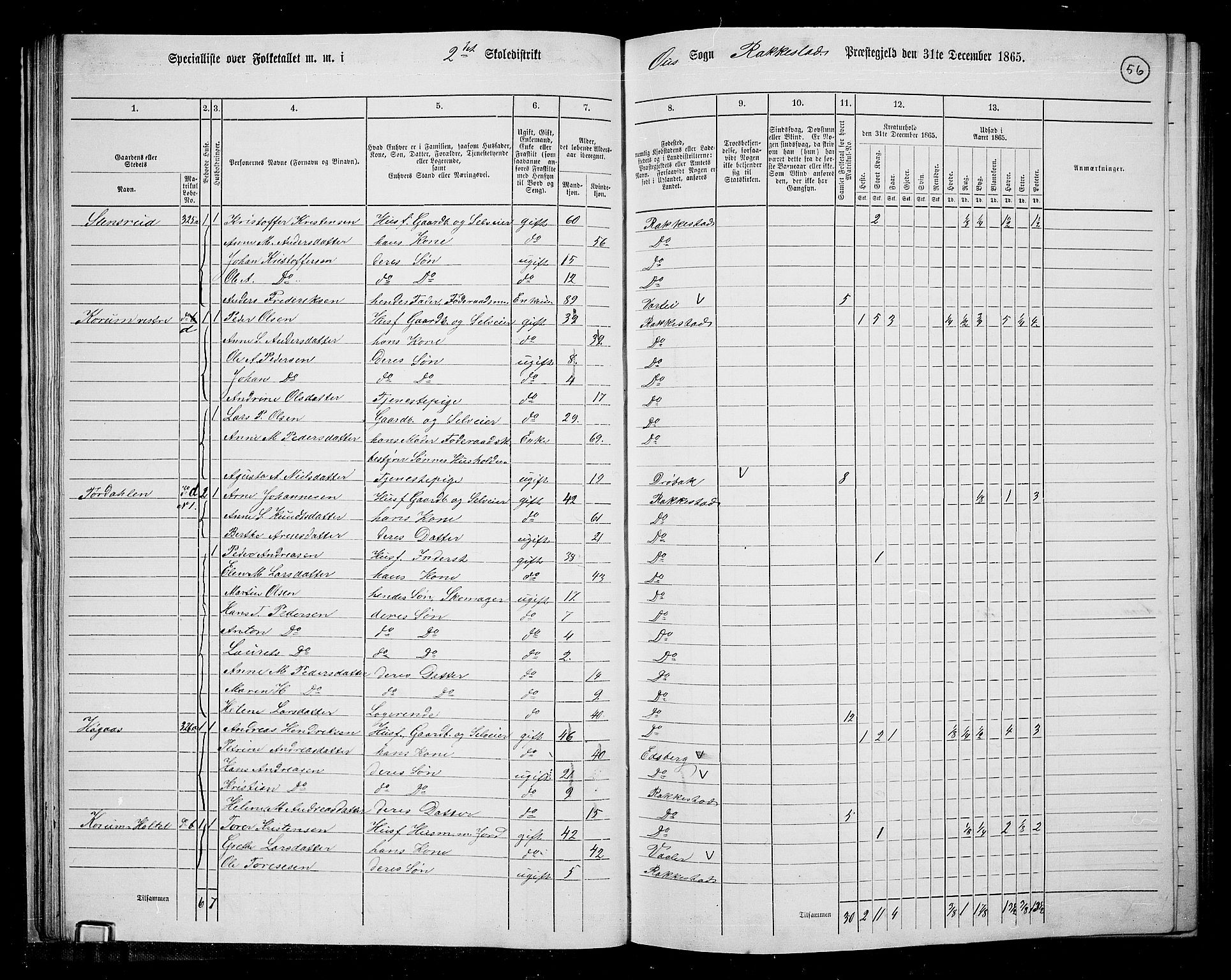 RA, 1865 census for Rakkestad, 1865, p. 55